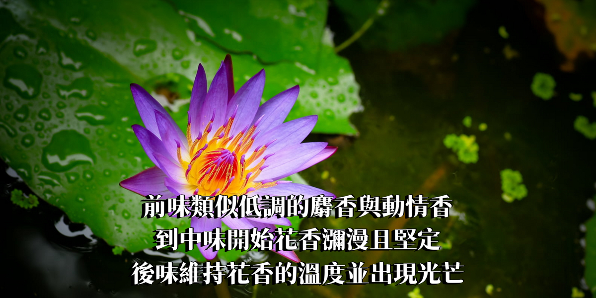 經典藍蓮花精油香水10ml【ISFJ命定香】