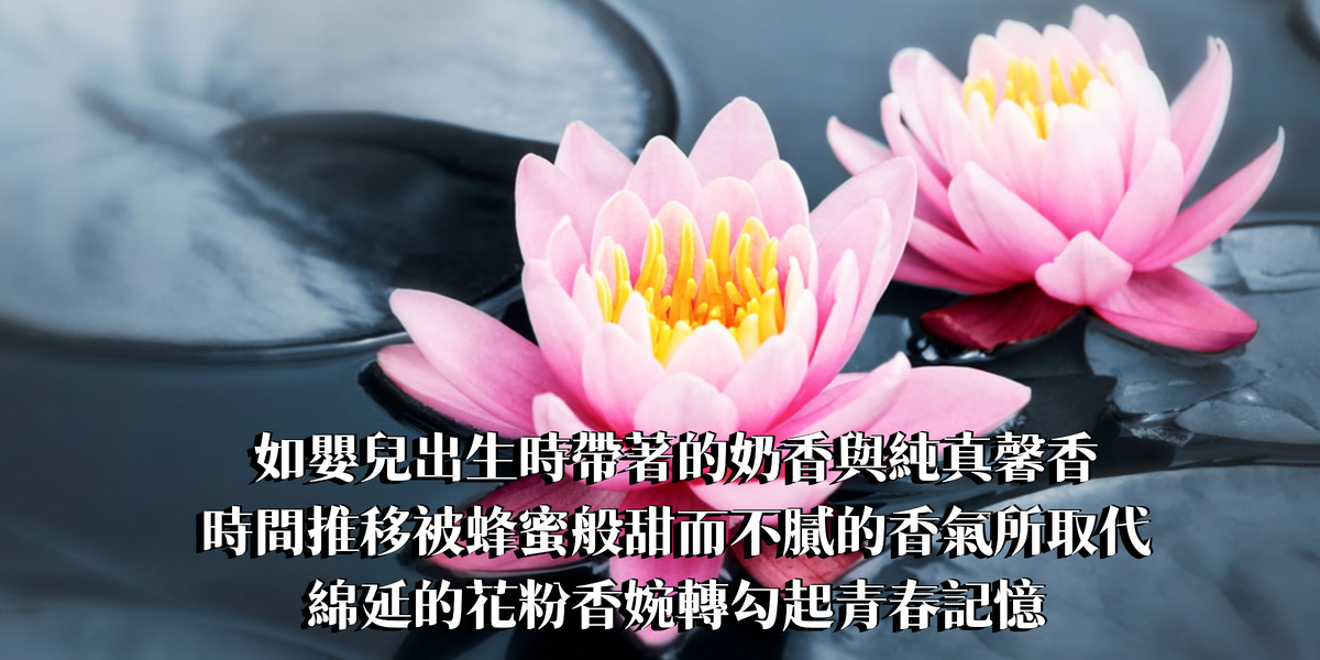 經典粉蓮花精油香水10ml【INFP命定香】