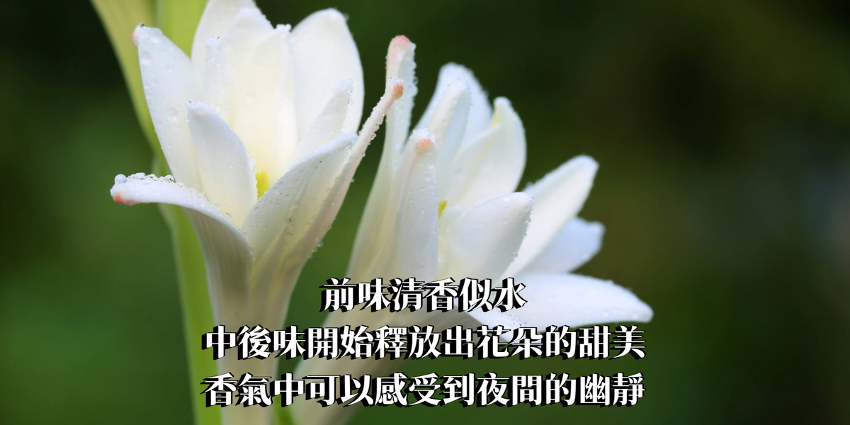 經典夜來香(晚香玉)精油香水10ml【ESTP命定香】