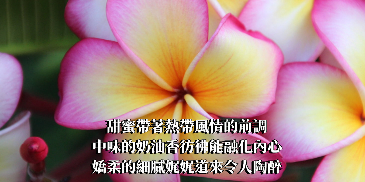 經典紅雞蛋花(紅花緬梔)精油香水10ml【ENFJ命定香】