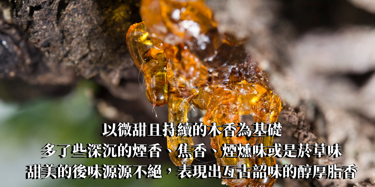 經典琥珀精油香水10ml【ENTJ命定香】