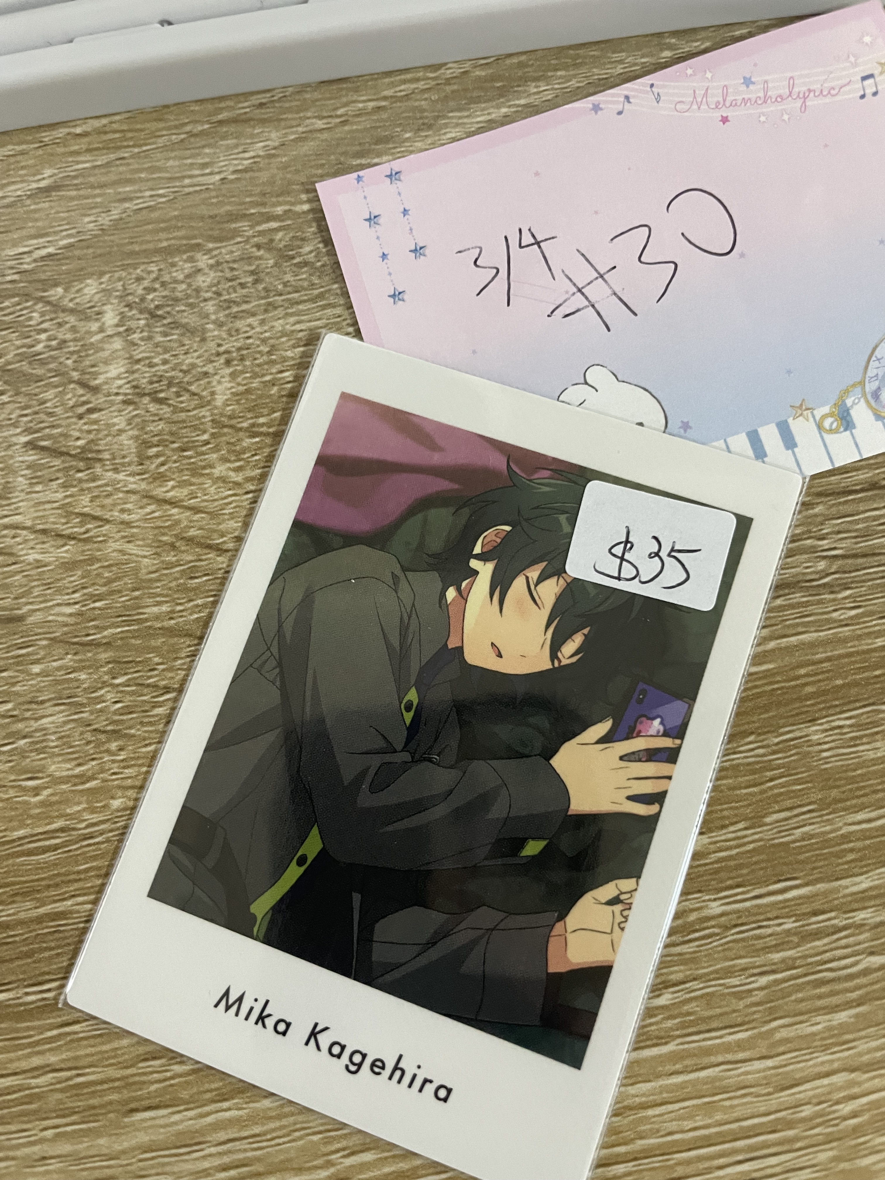 ES  MIKA   拍立得 VK#30