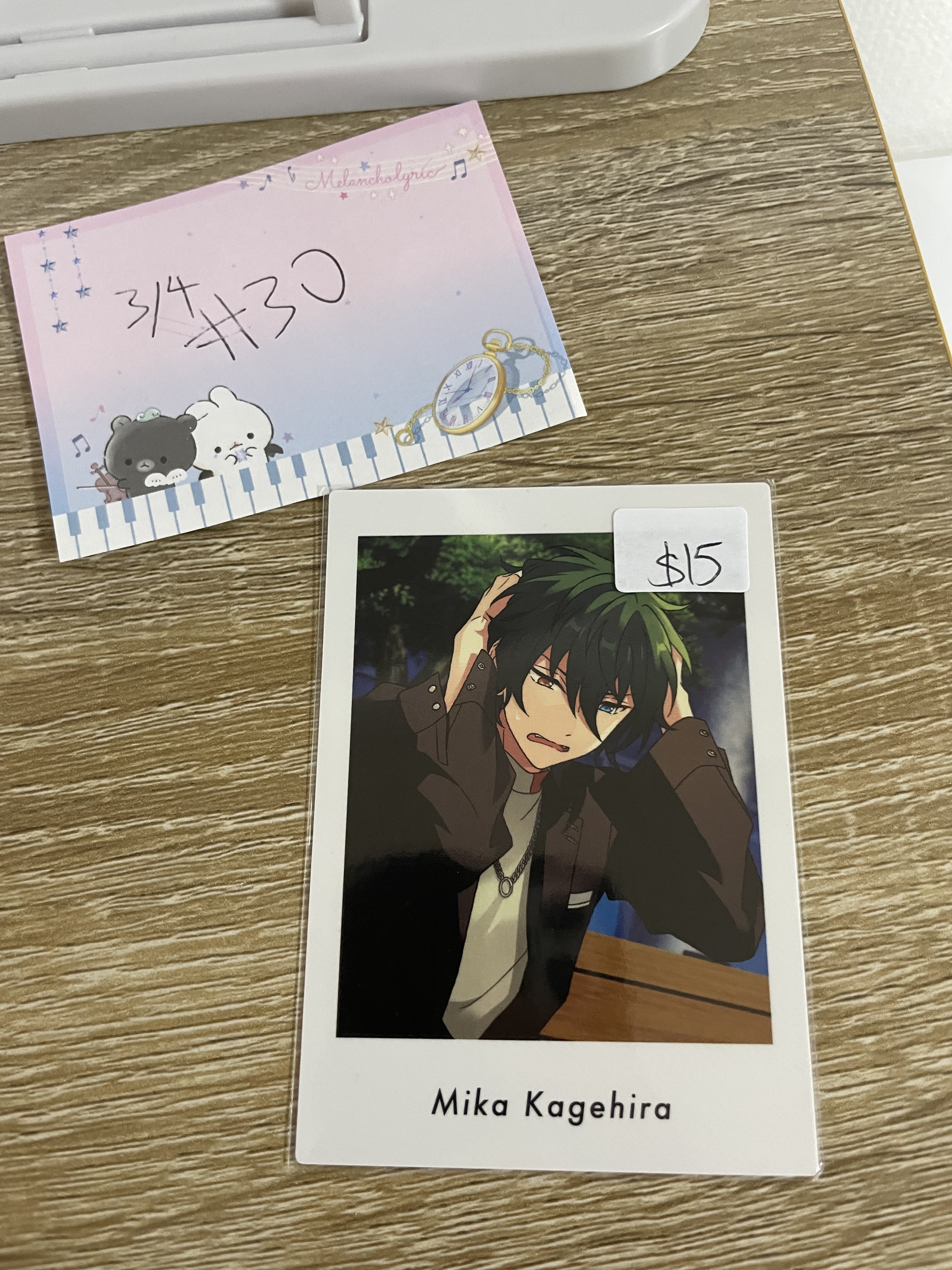 ES  MIKA   拍立得 VK#30