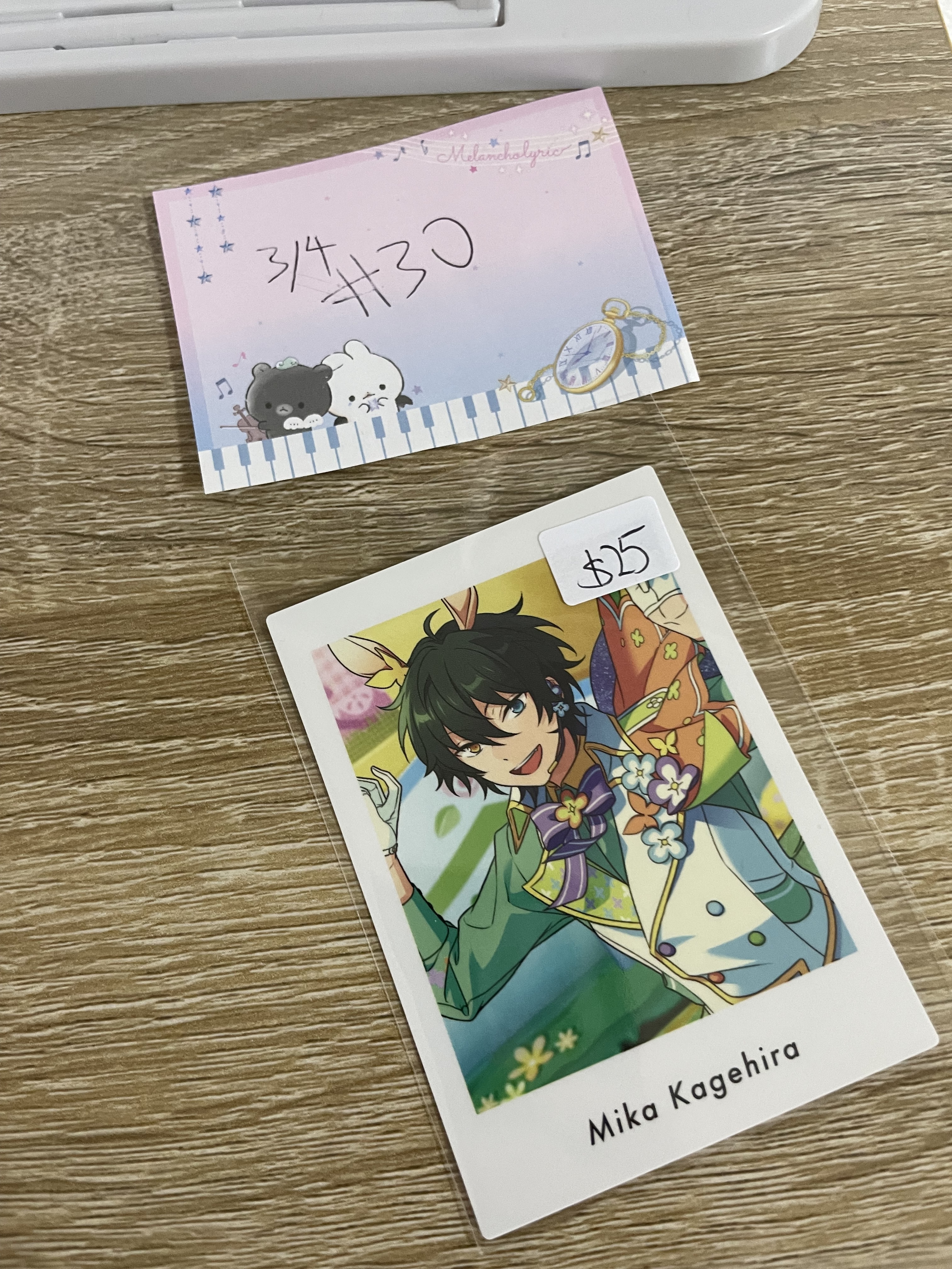 ES  MIKA   拍立得 VK#30