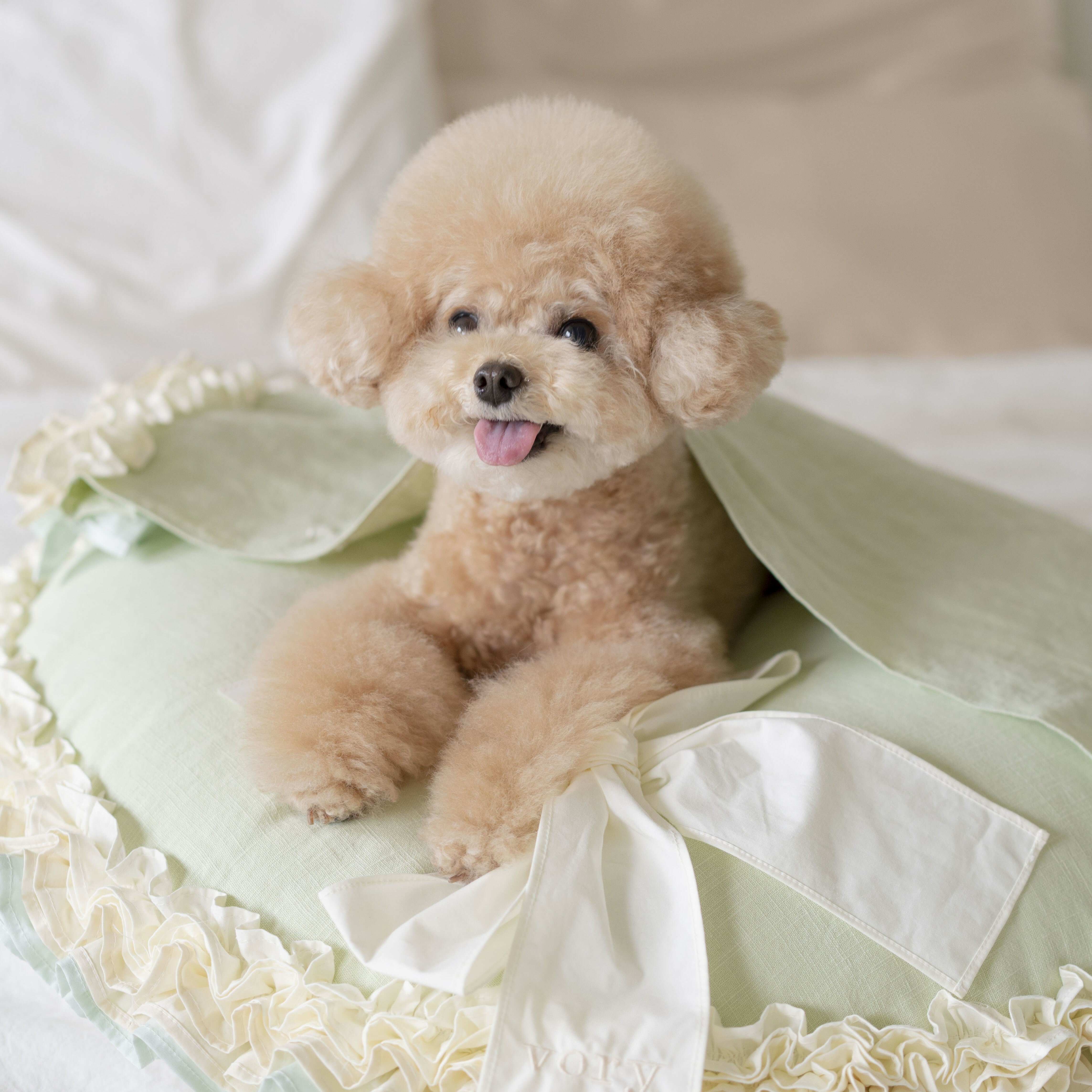 OPAAAP 牡丹荷葉薄被