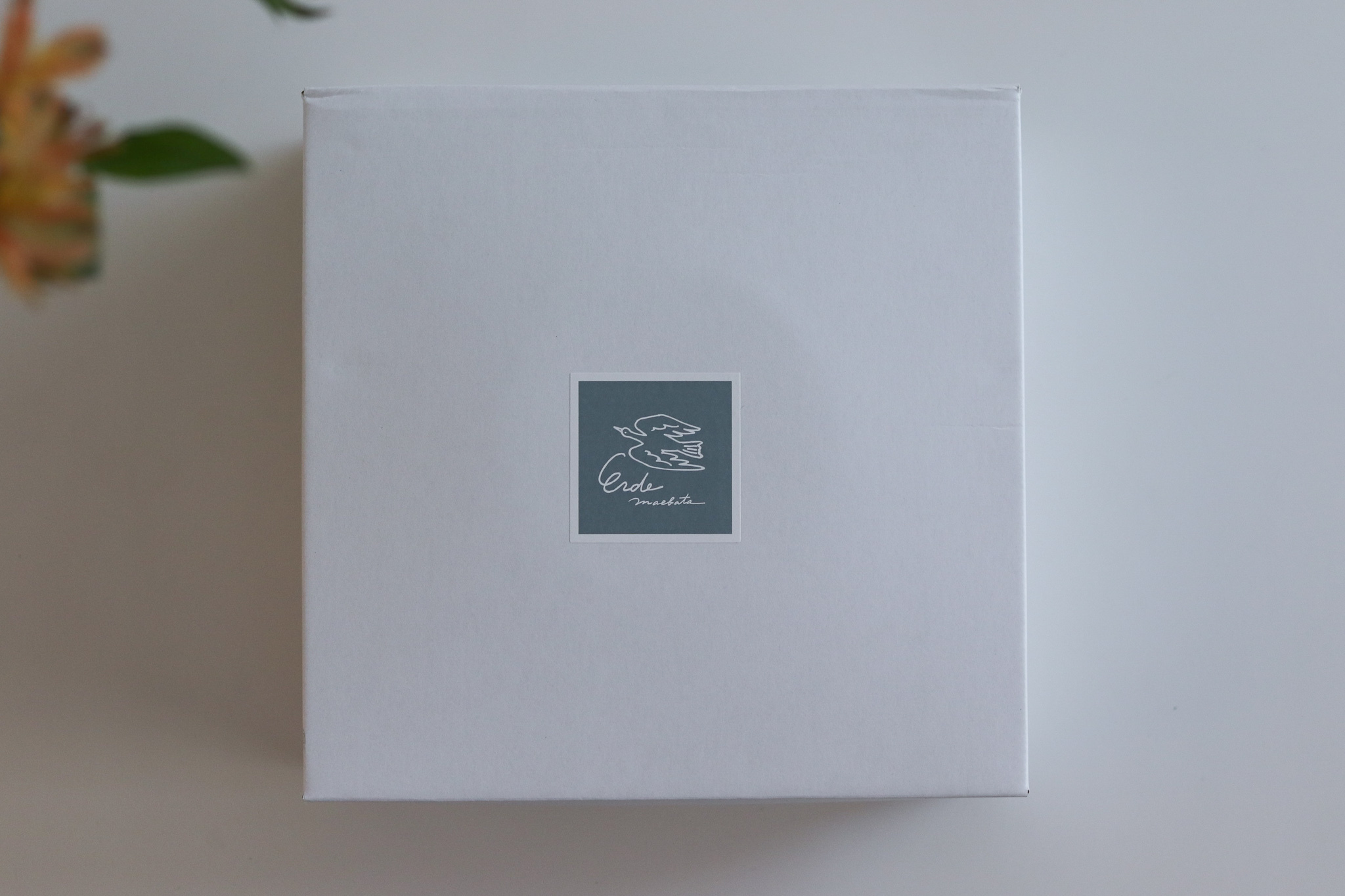 插畫家 淺野みどり Midori Asano 動物花草 盤 禮盒組