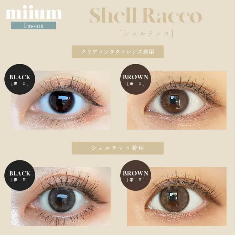 [月拋] Miium Shell Racco 1 month 每月拋棄彩妝隱形眼鏡｜2片