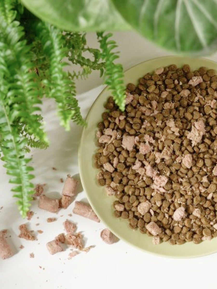 【Hyperr 超躍】貓用｜鮮肉糧佐凍乾 雞肉+牛肉