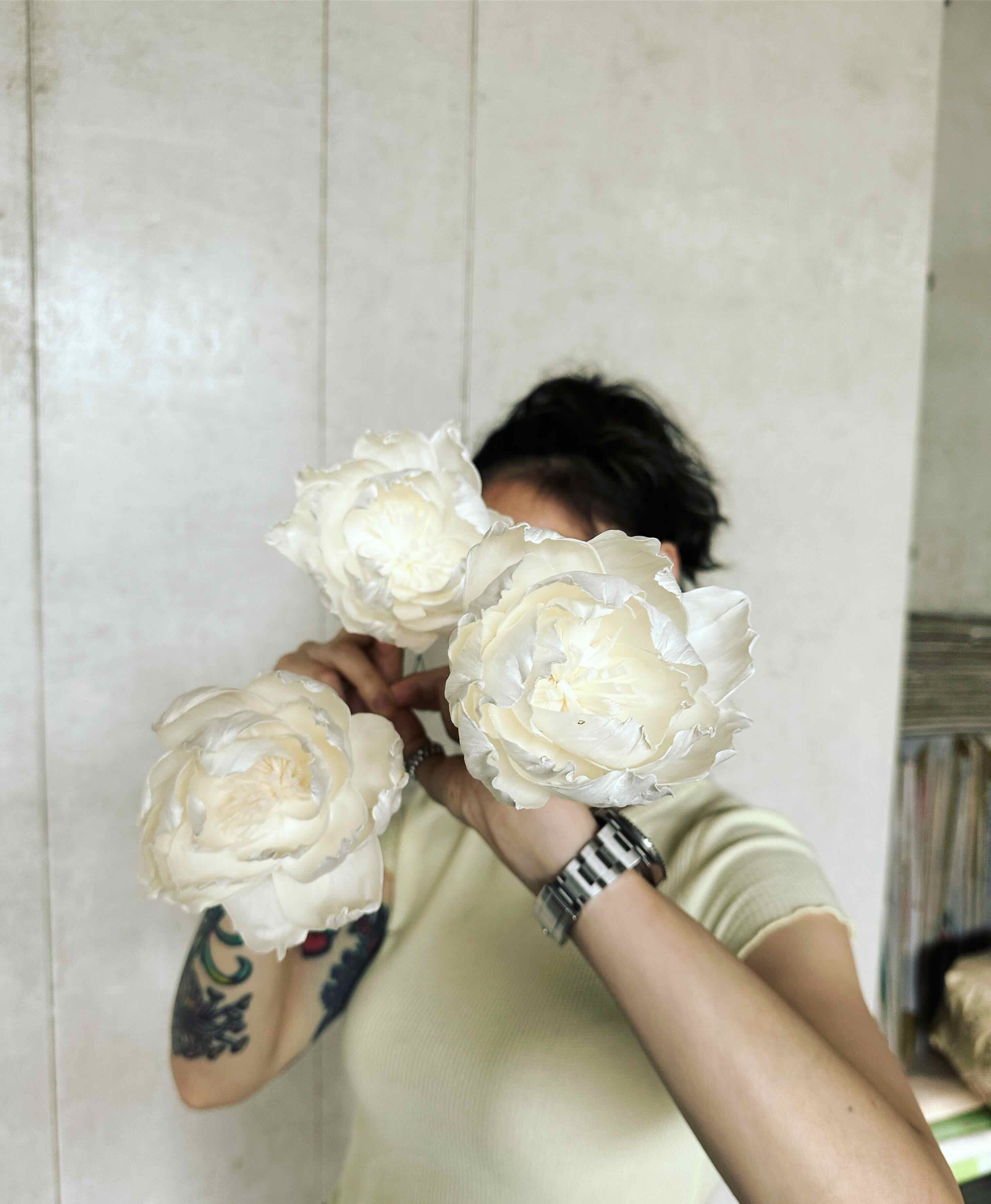 乾燥大牡丹索拉