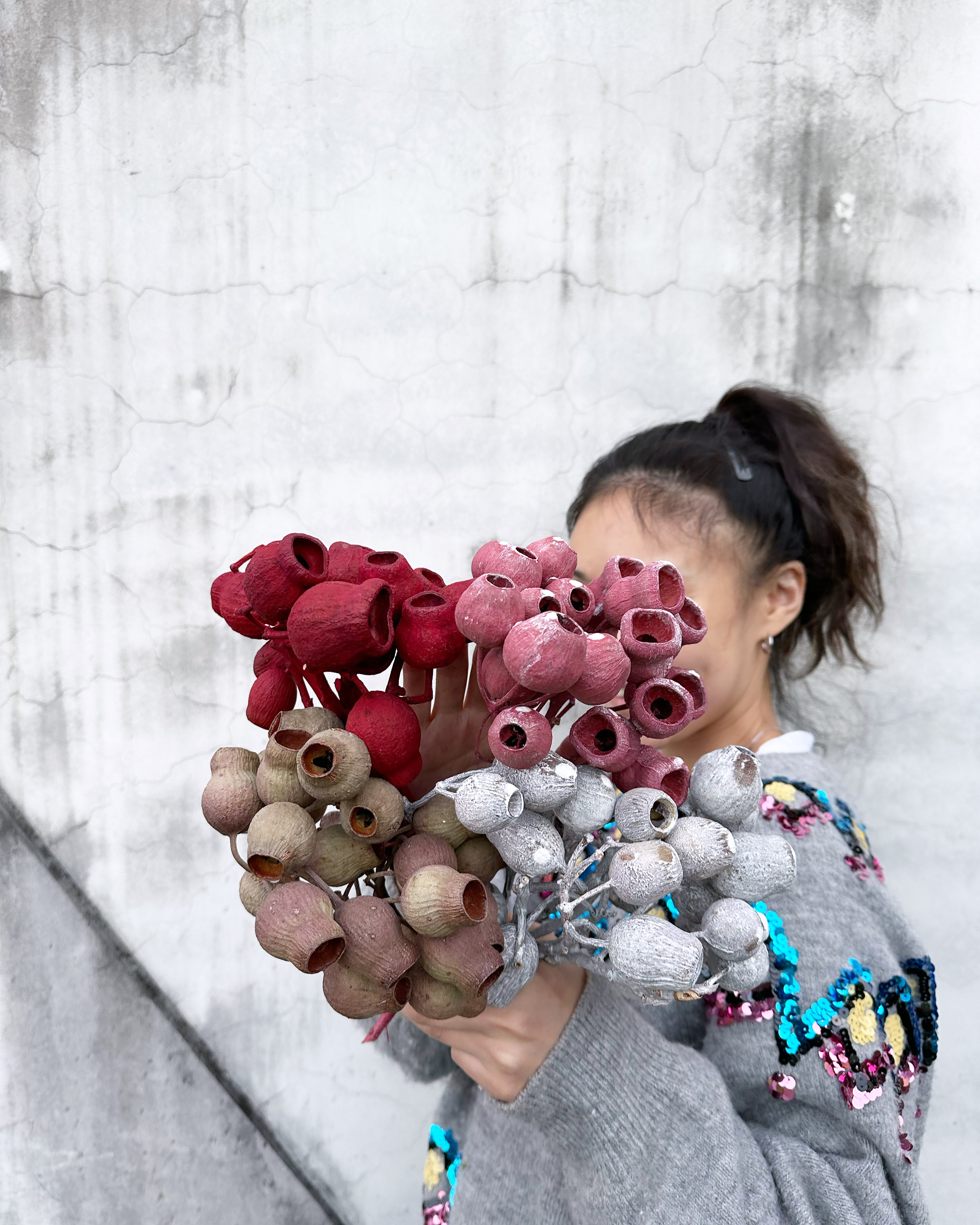 乾燥貝爾果(南非)