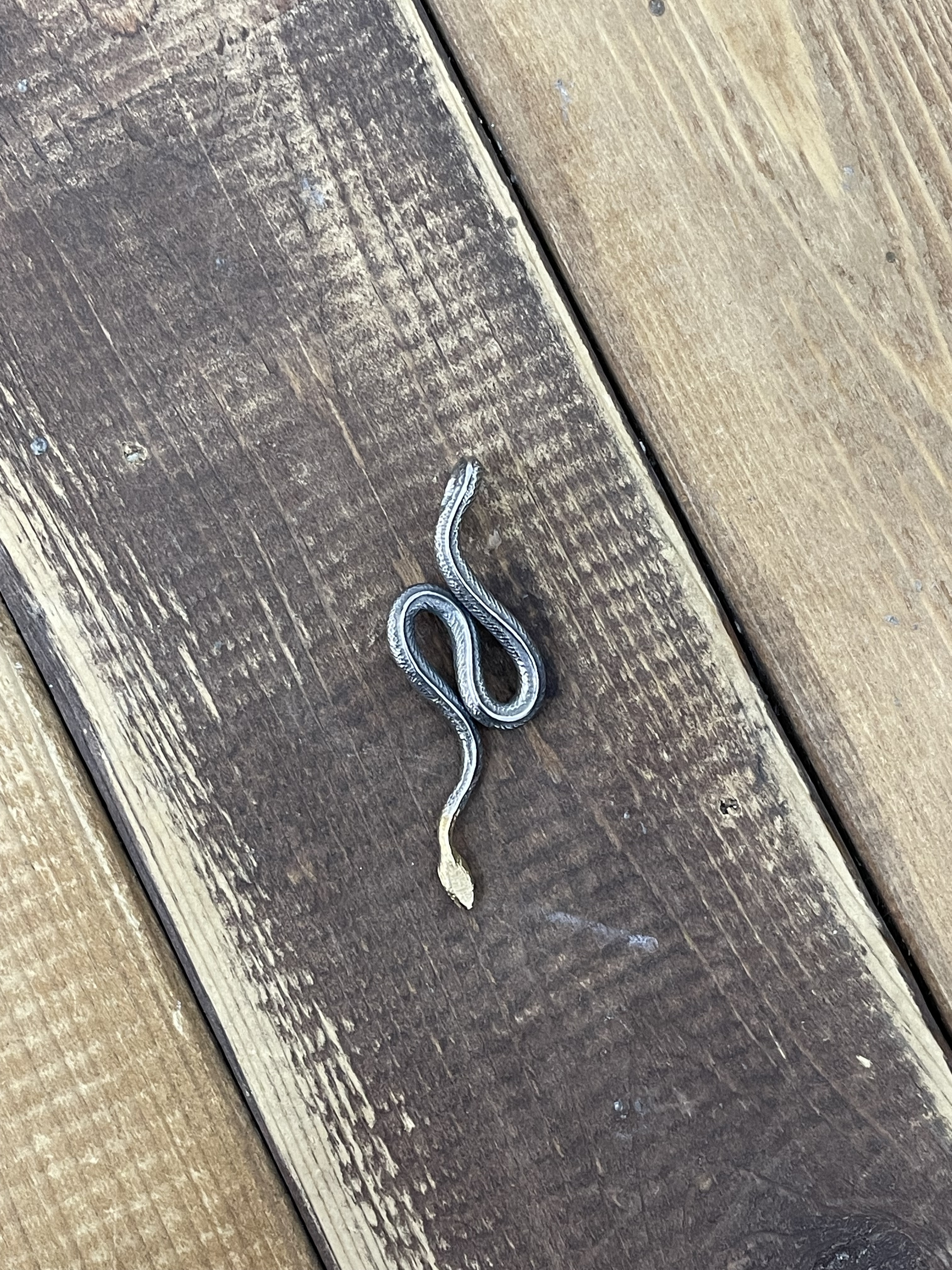 Fate Co FCT-119 SH/K18 head