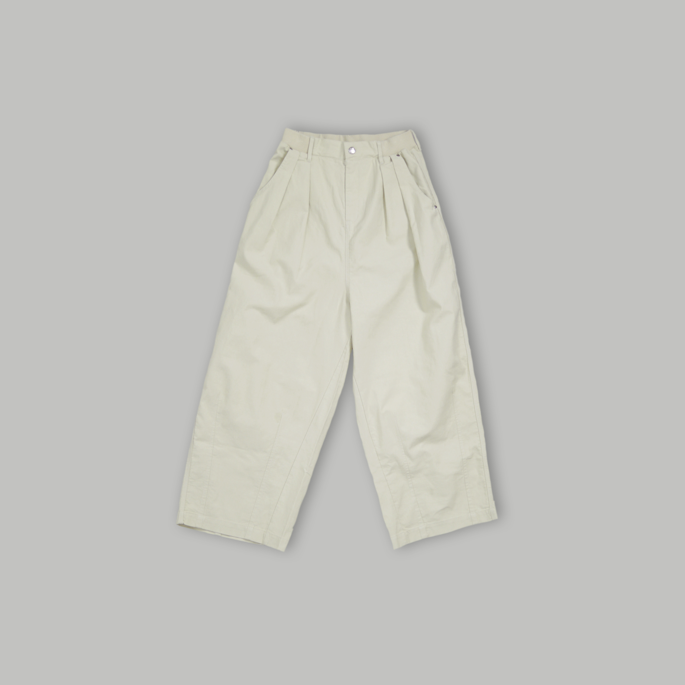 BIG BILL 高腰壓褶廓形寬褲 ╭ 2色 ╮