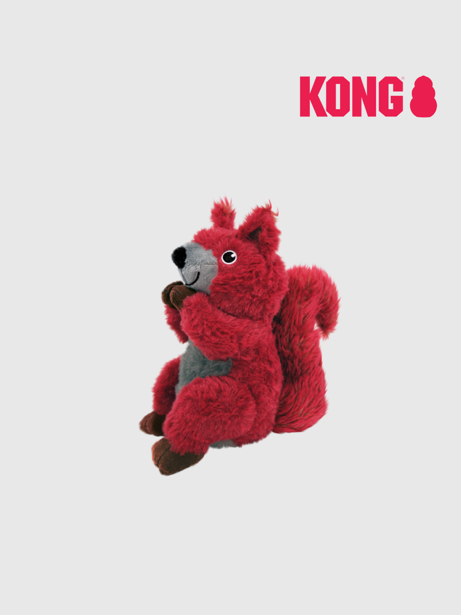 【KONG】甩甩護照紅松鼠