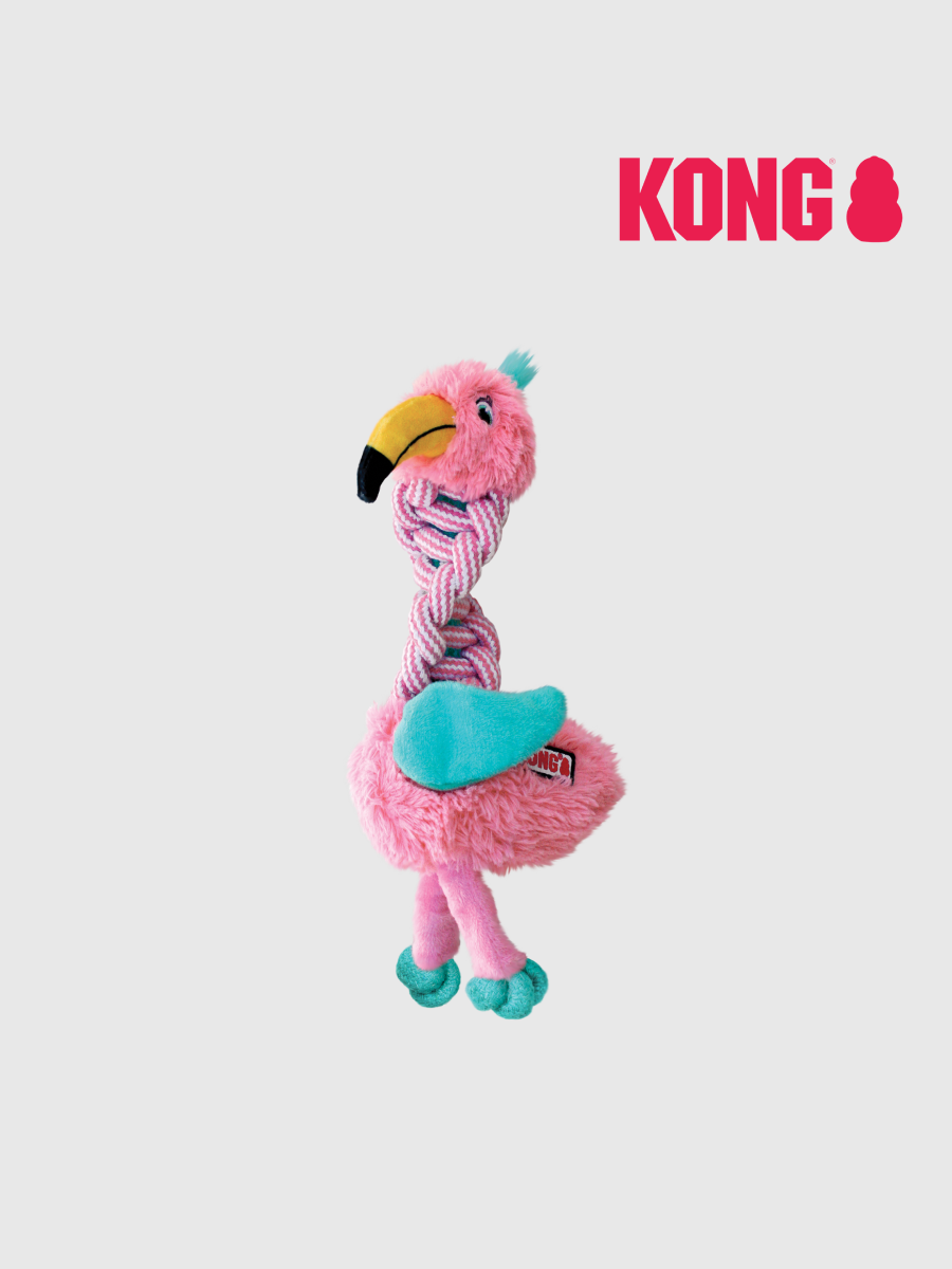 【KONG】繩結扭扭樂｜紅鶴