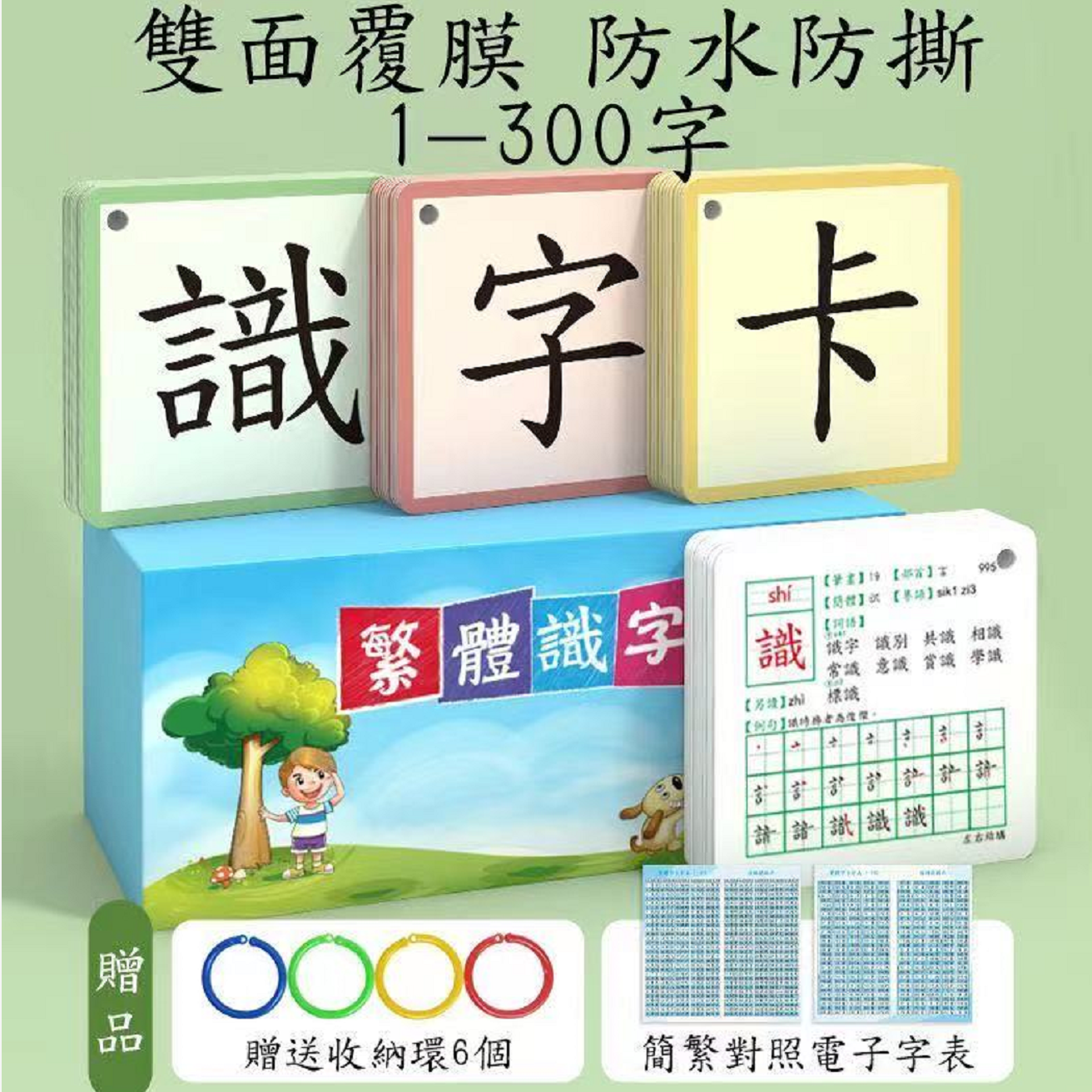 T0112 繁體識字卡片套裝900字