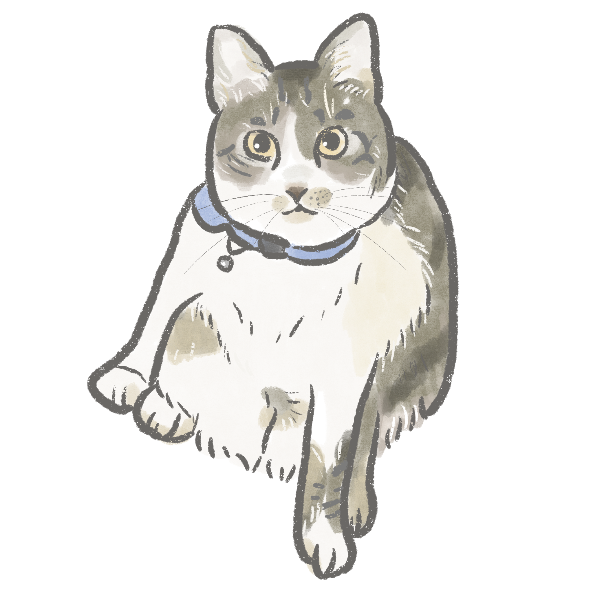 似顏繪客製化 PE01 寵物貓咪繪製 似顏繪線條