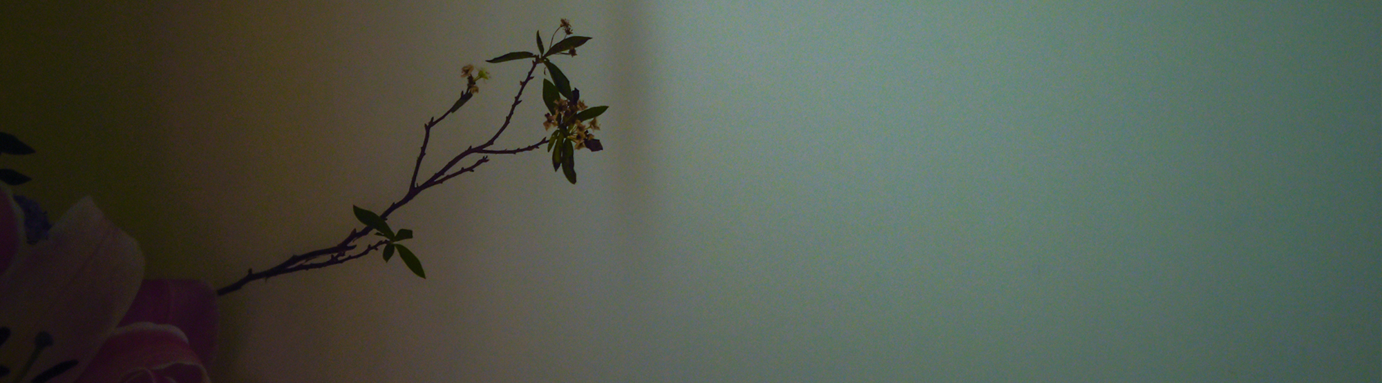 臉部保濕精緻護理