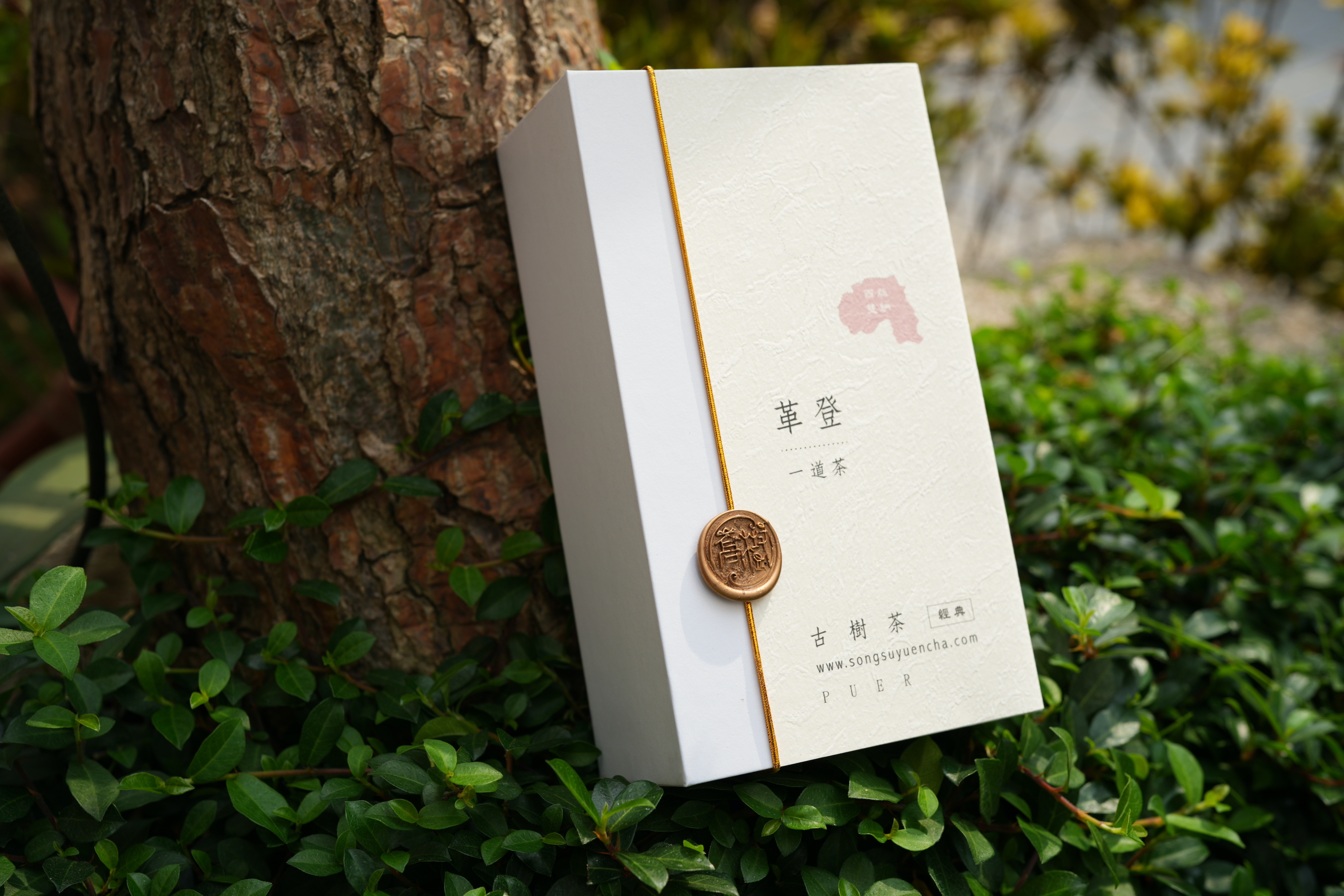 《革登》古樹純料普洱雲茶