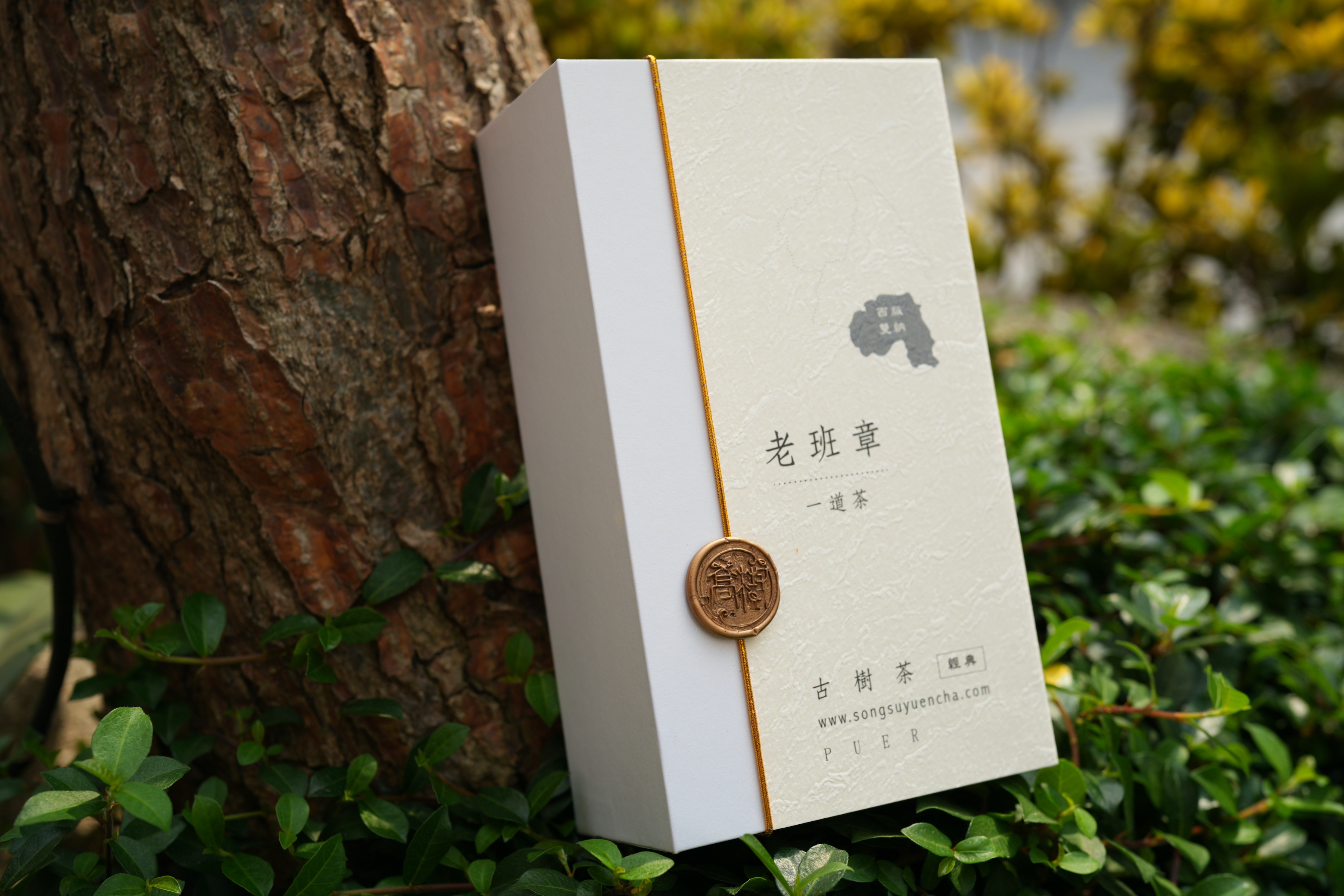 《老班章》古樹純料普洱雲茶