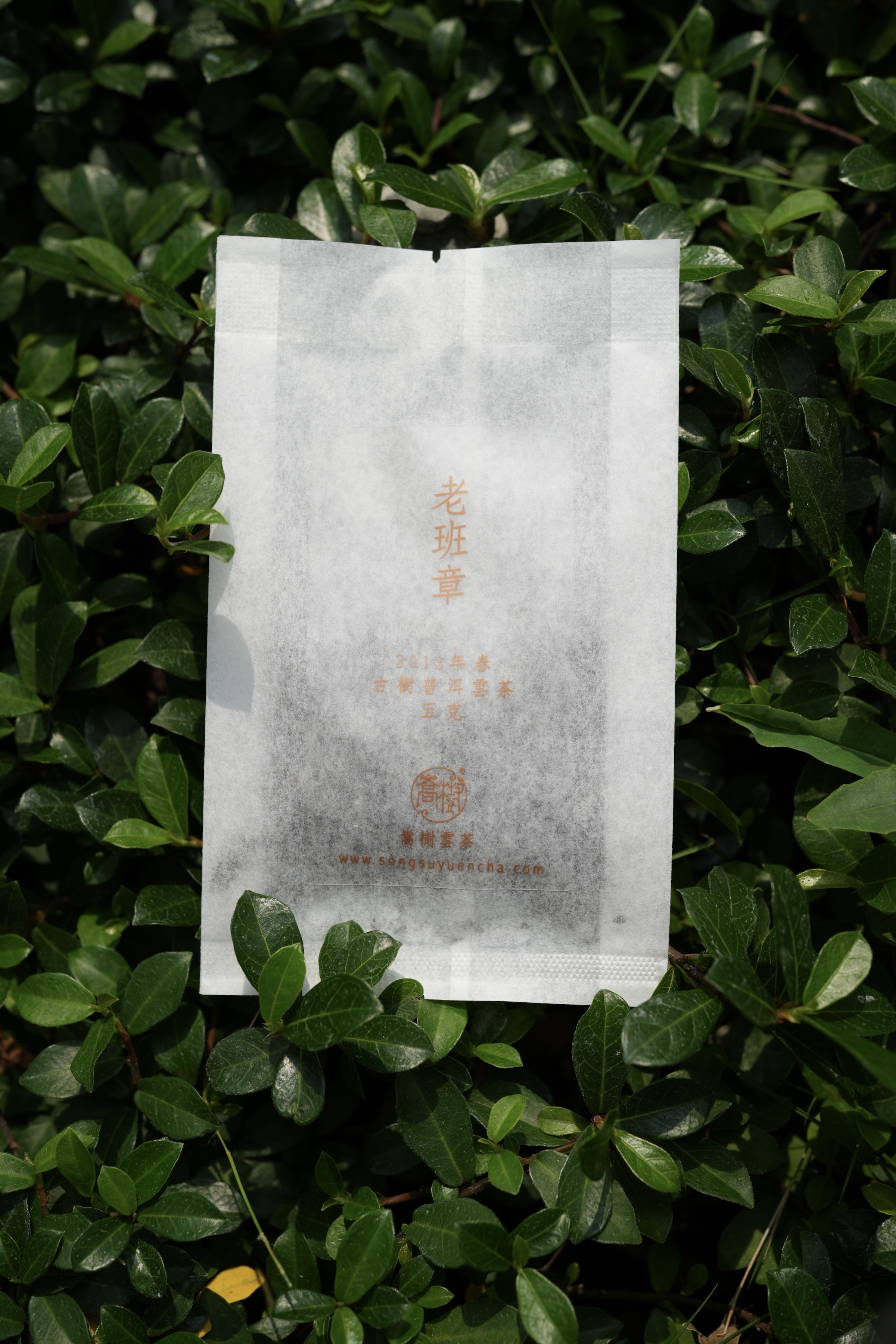 《老班章》古樹純料普洱雲茶