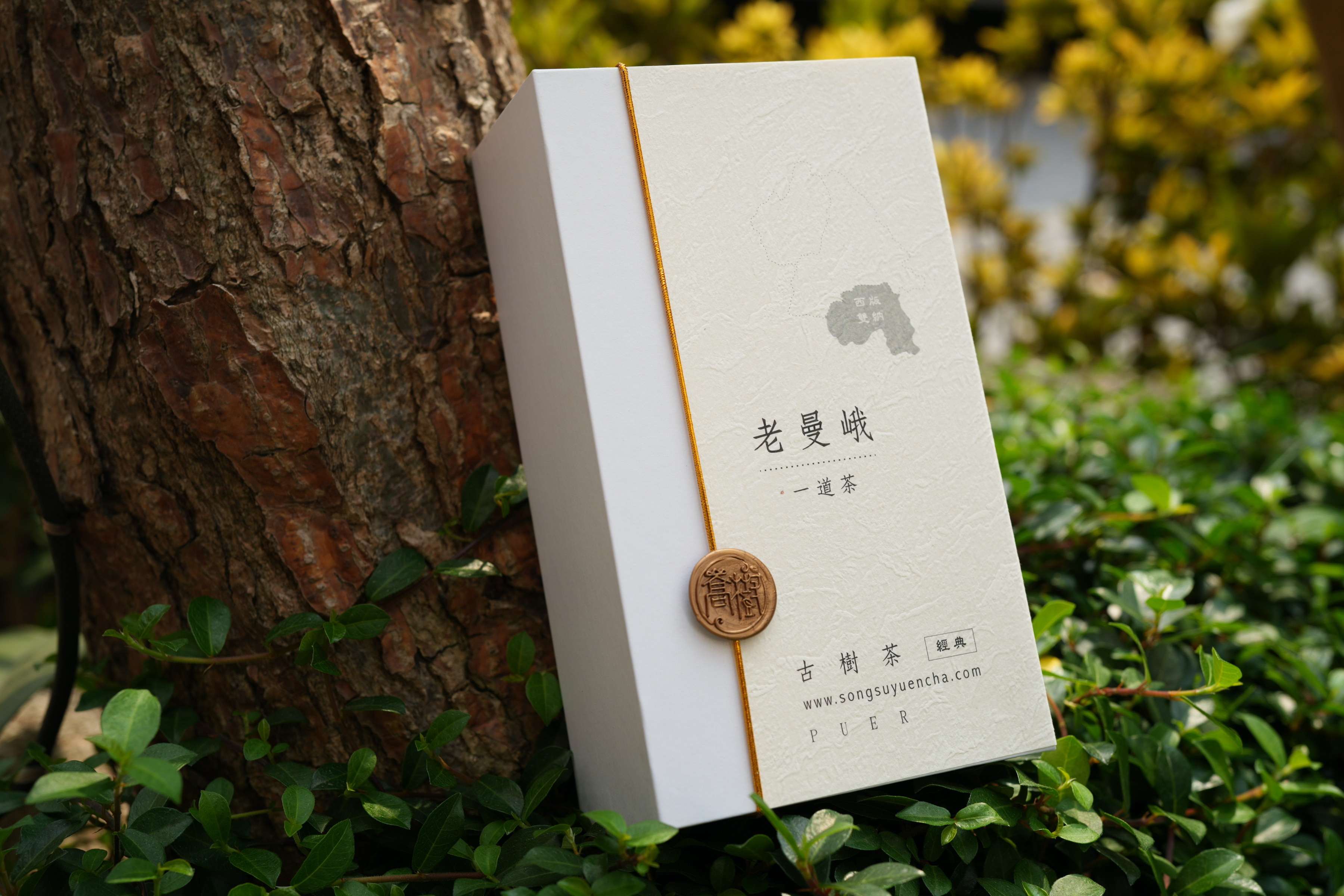 《老曼娥》古樹純料普洱雲茶