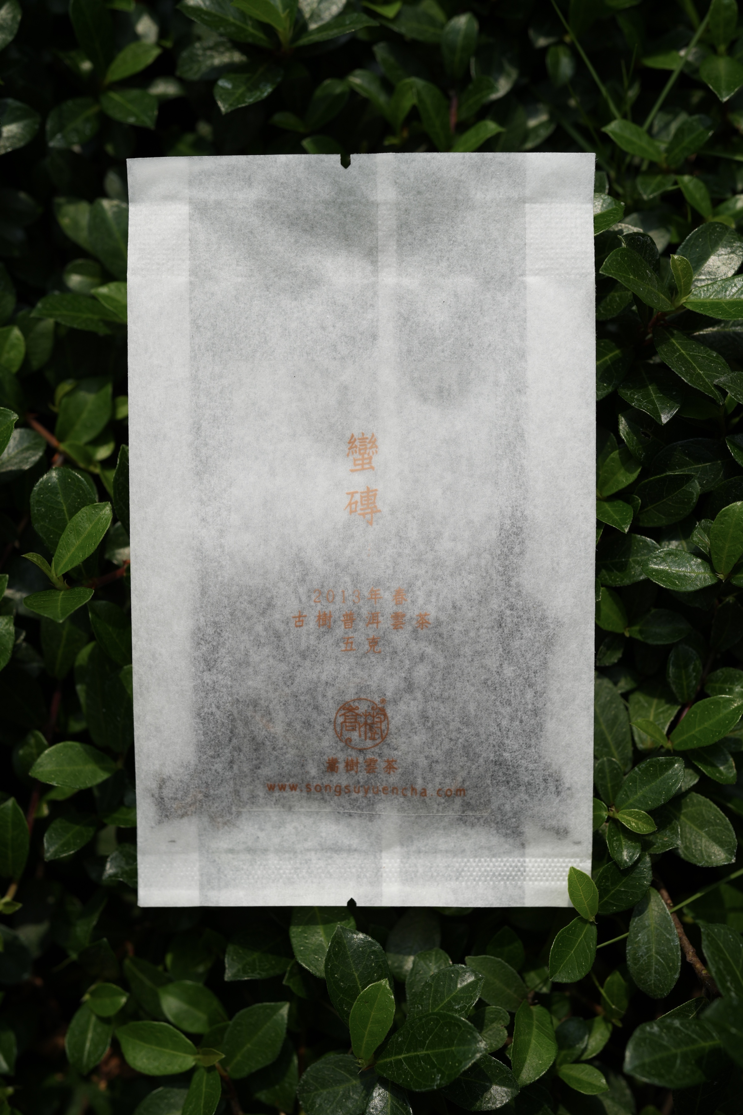 《蠻磚》古樹純料普洱雲茶