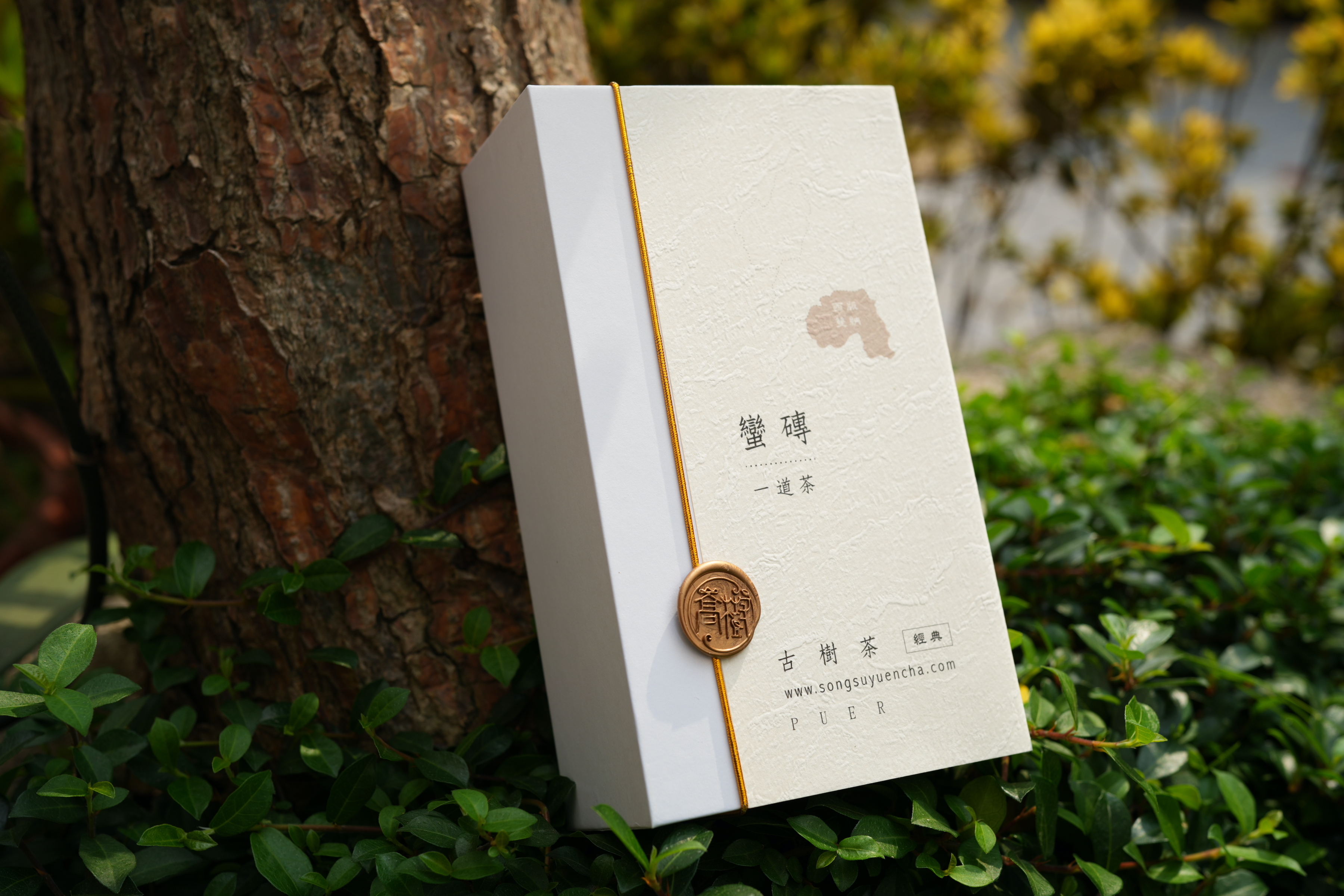 《蠻磚》古樹純料普洱雲茶