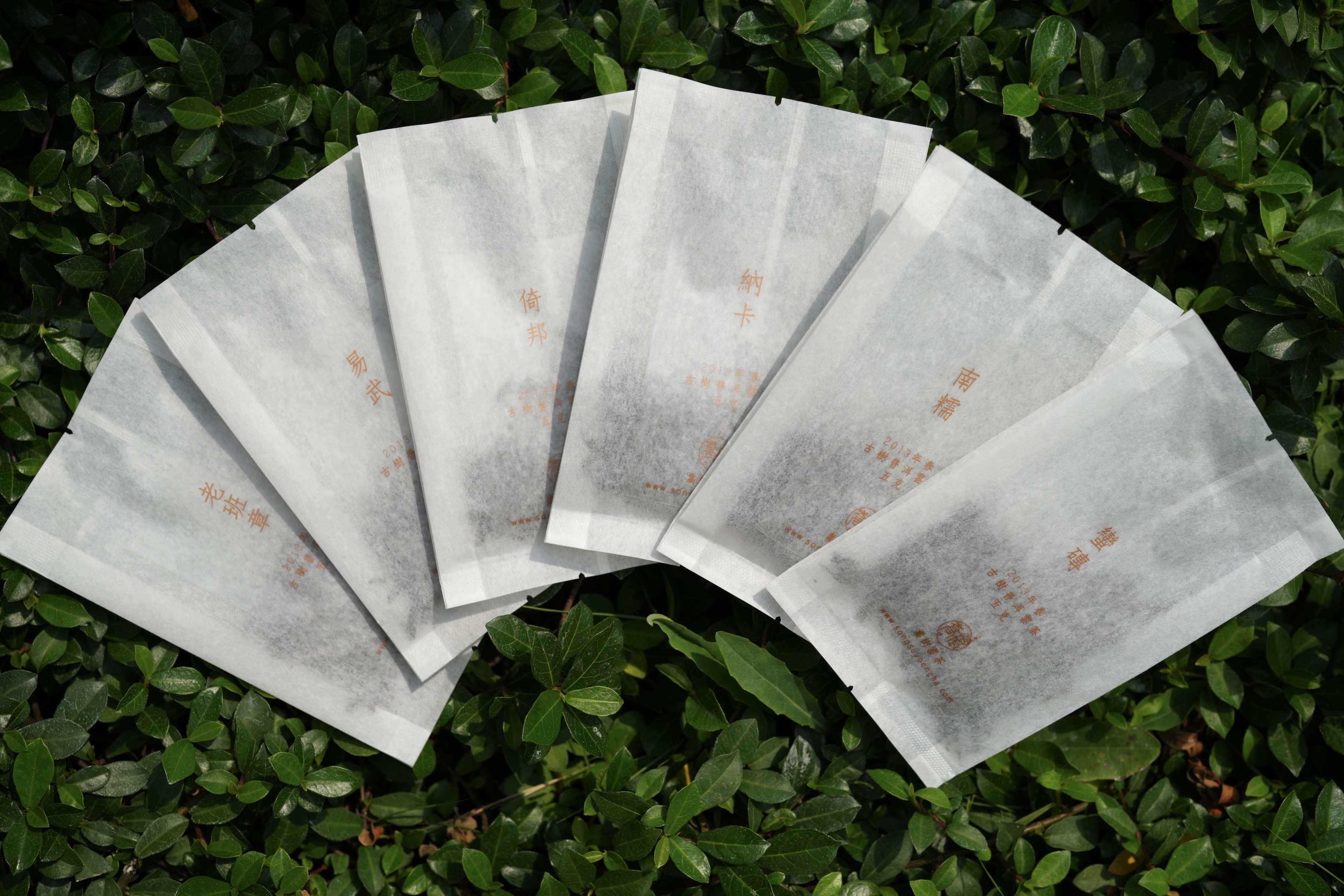 《普洱名山一道茶》版納六山套裝茶