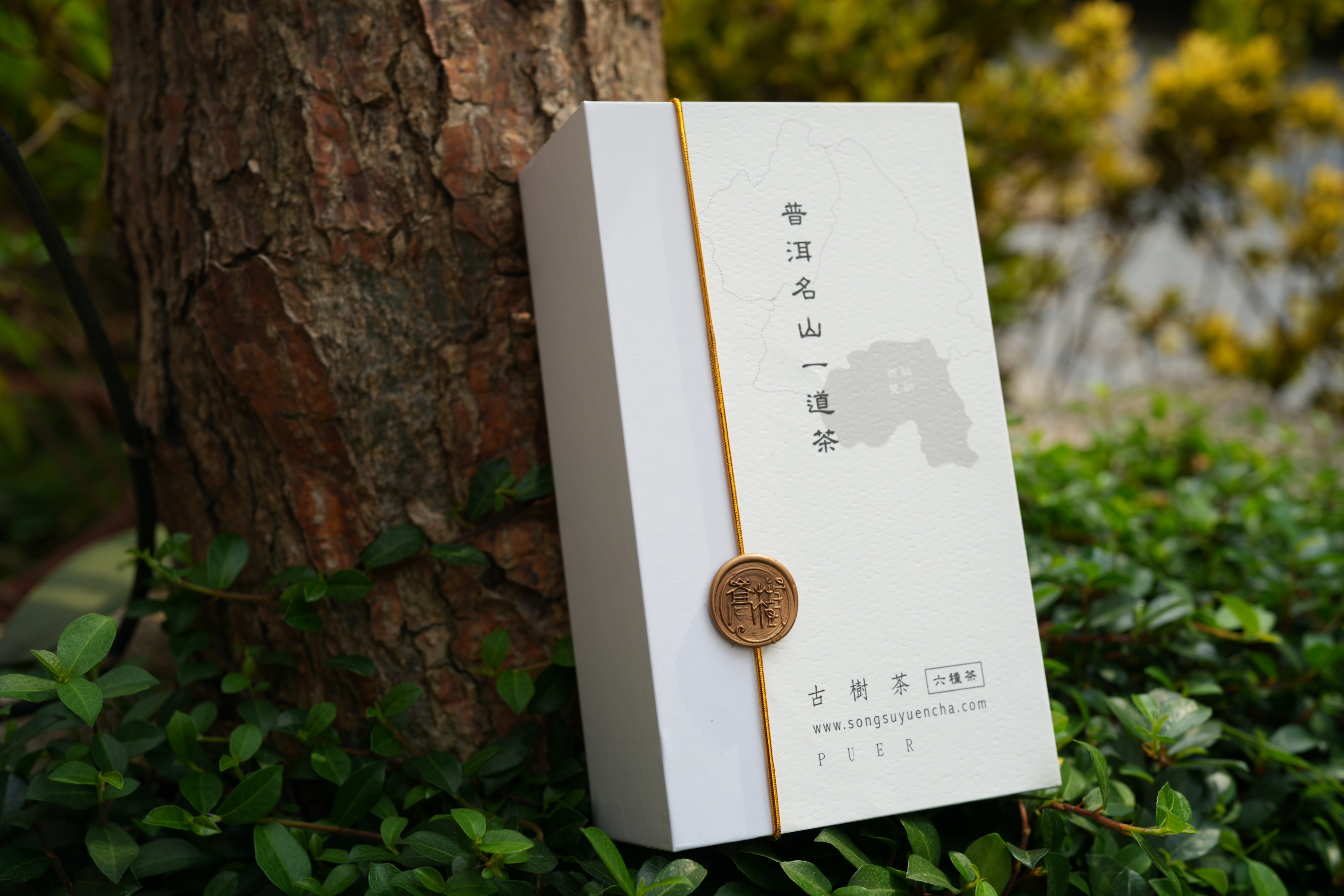 《普洱名山一道茶》版納六山套裝茶