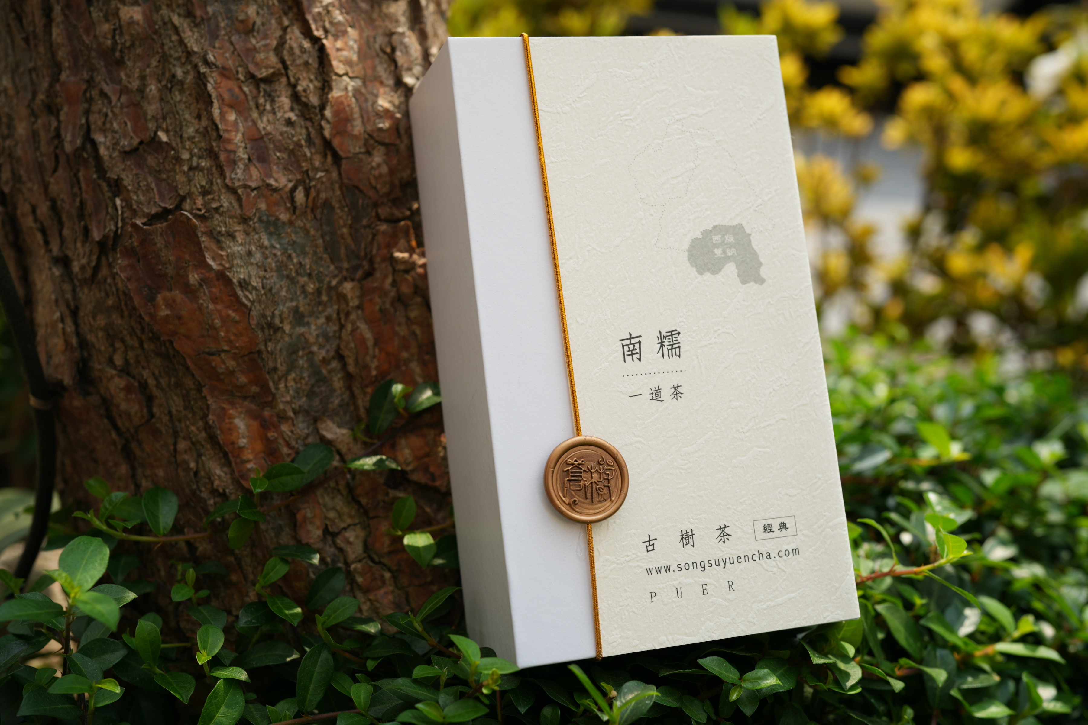 《南糯》古樹純料普洱雲茶