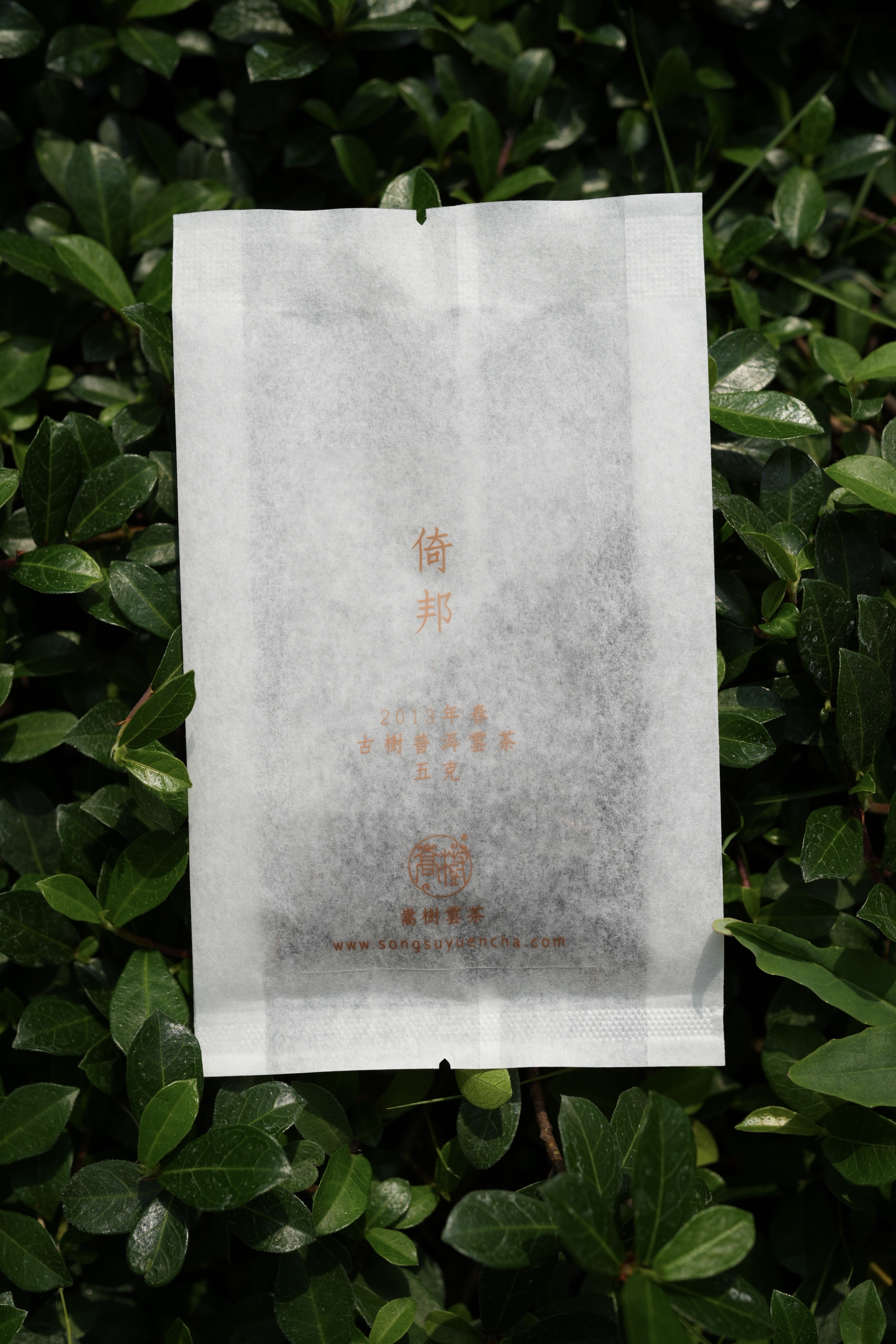《倚邦》古樹純料普洱雲茶