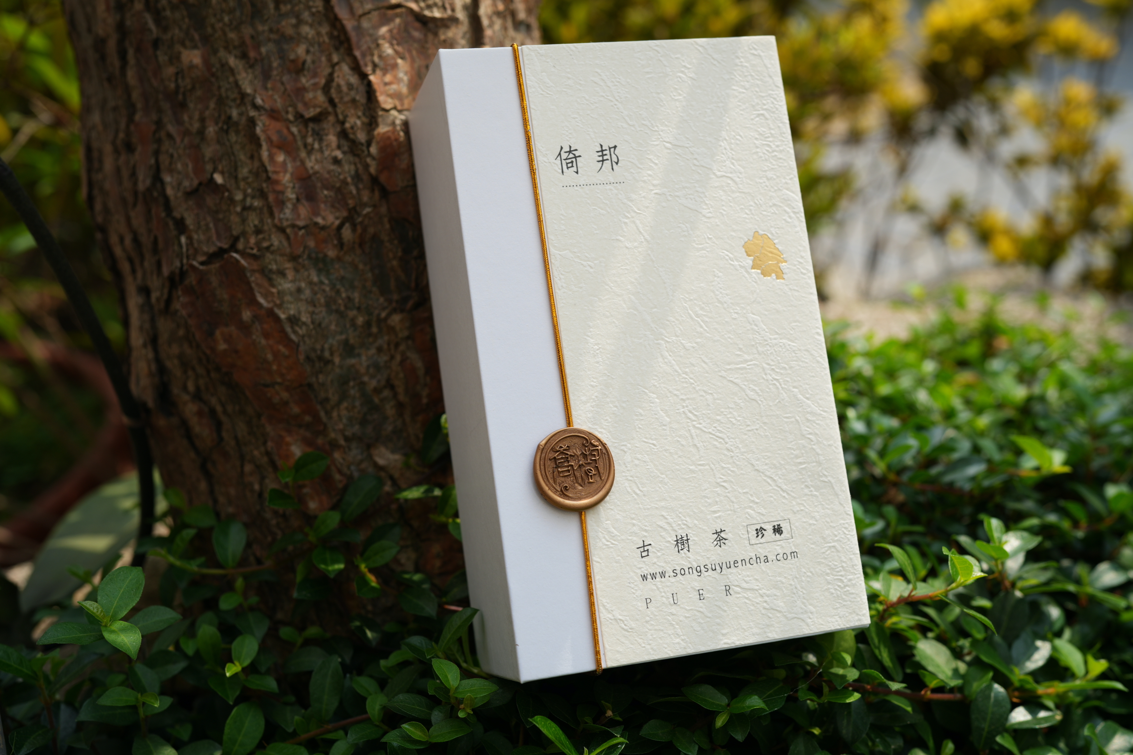 《倚邦》古樹純料普洱雲茶