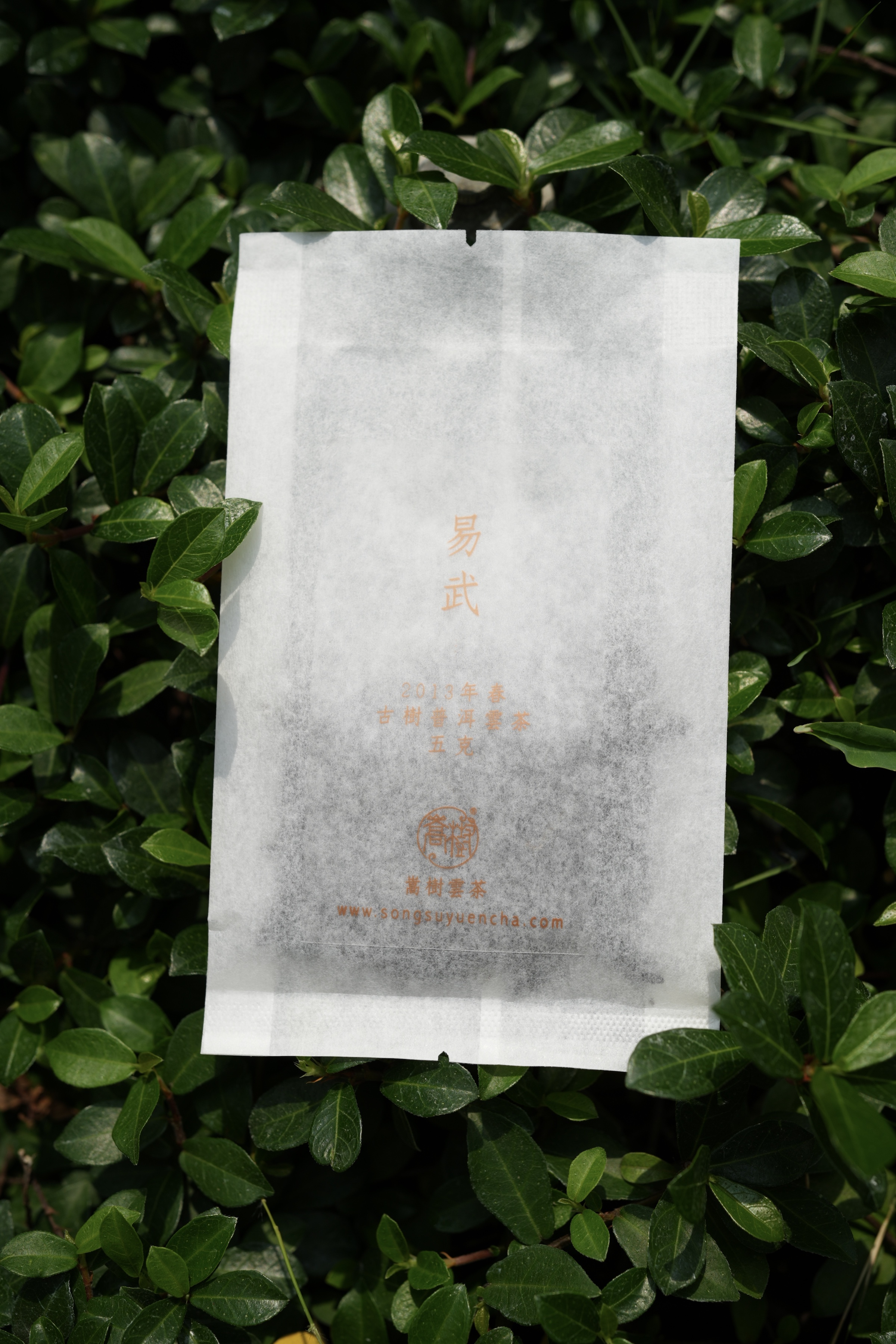 《易武》古樹純料普洱雲茶