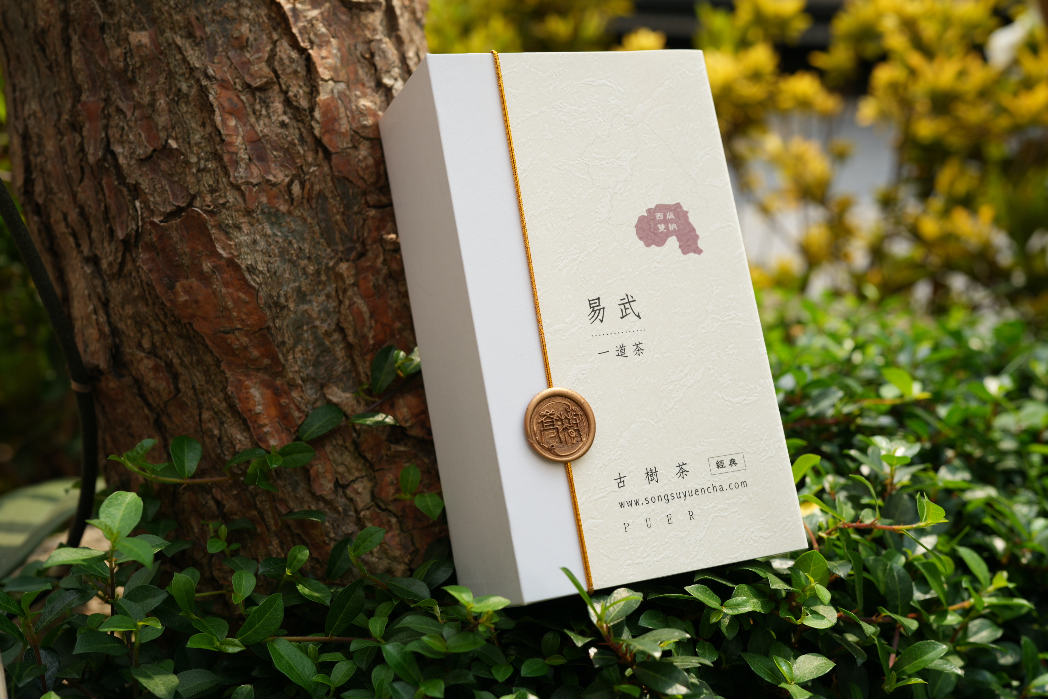 《易武》古樹純料普洱雲茶