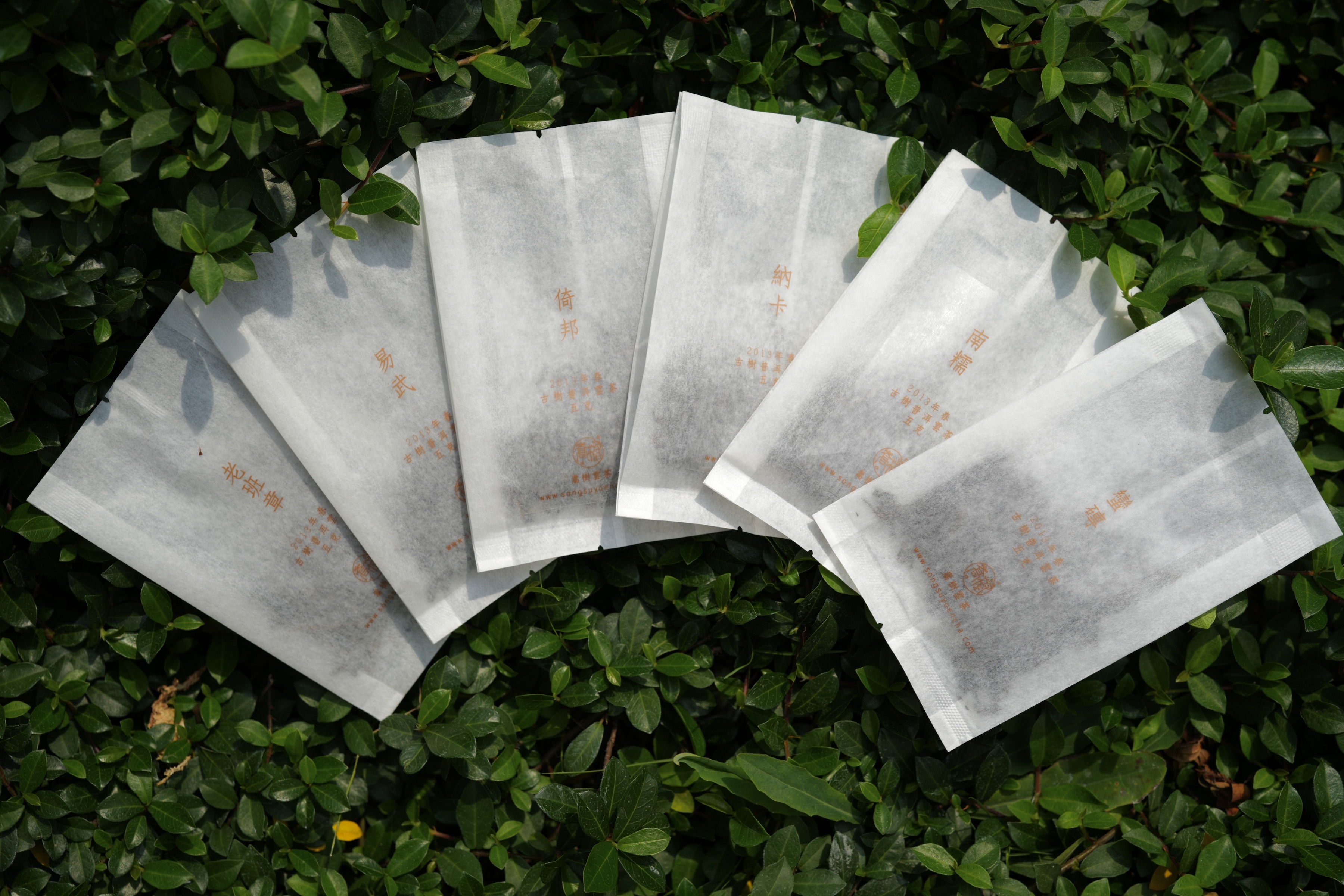 《一道茶》試飲裝 - 古樹名茶 5 克袋装