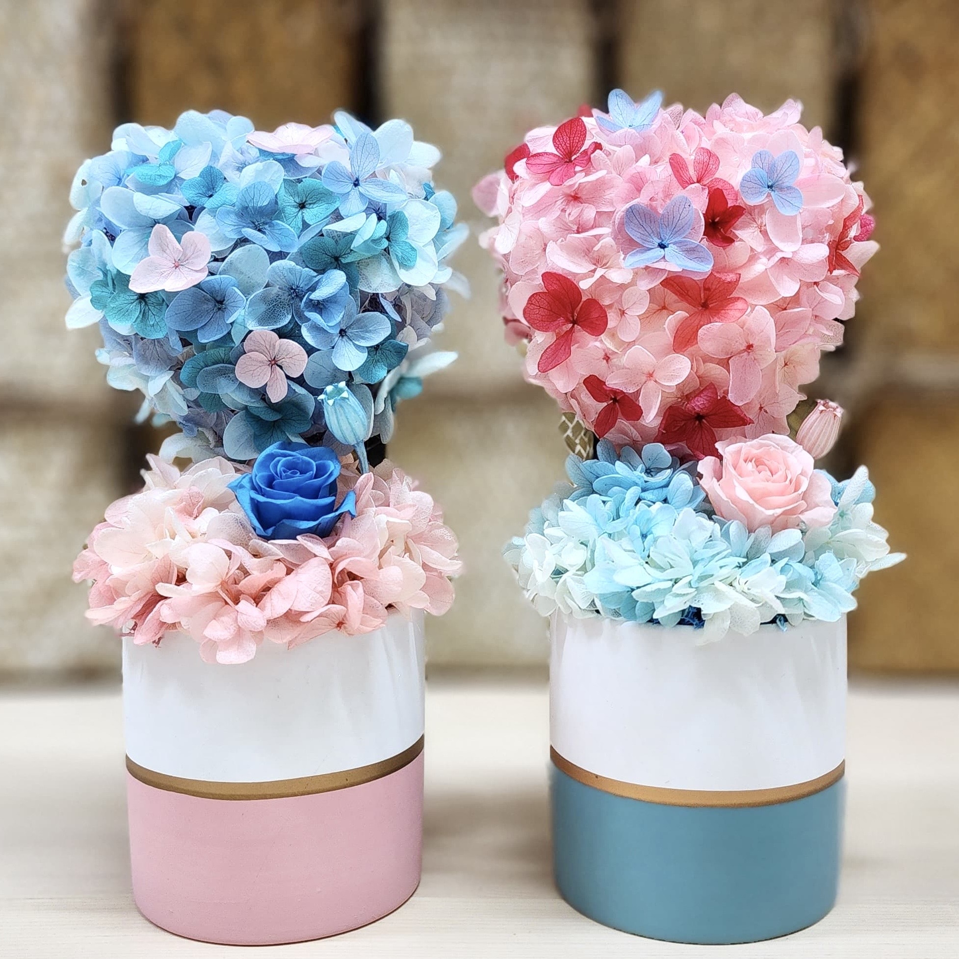 情人節花球樹 (VA01)