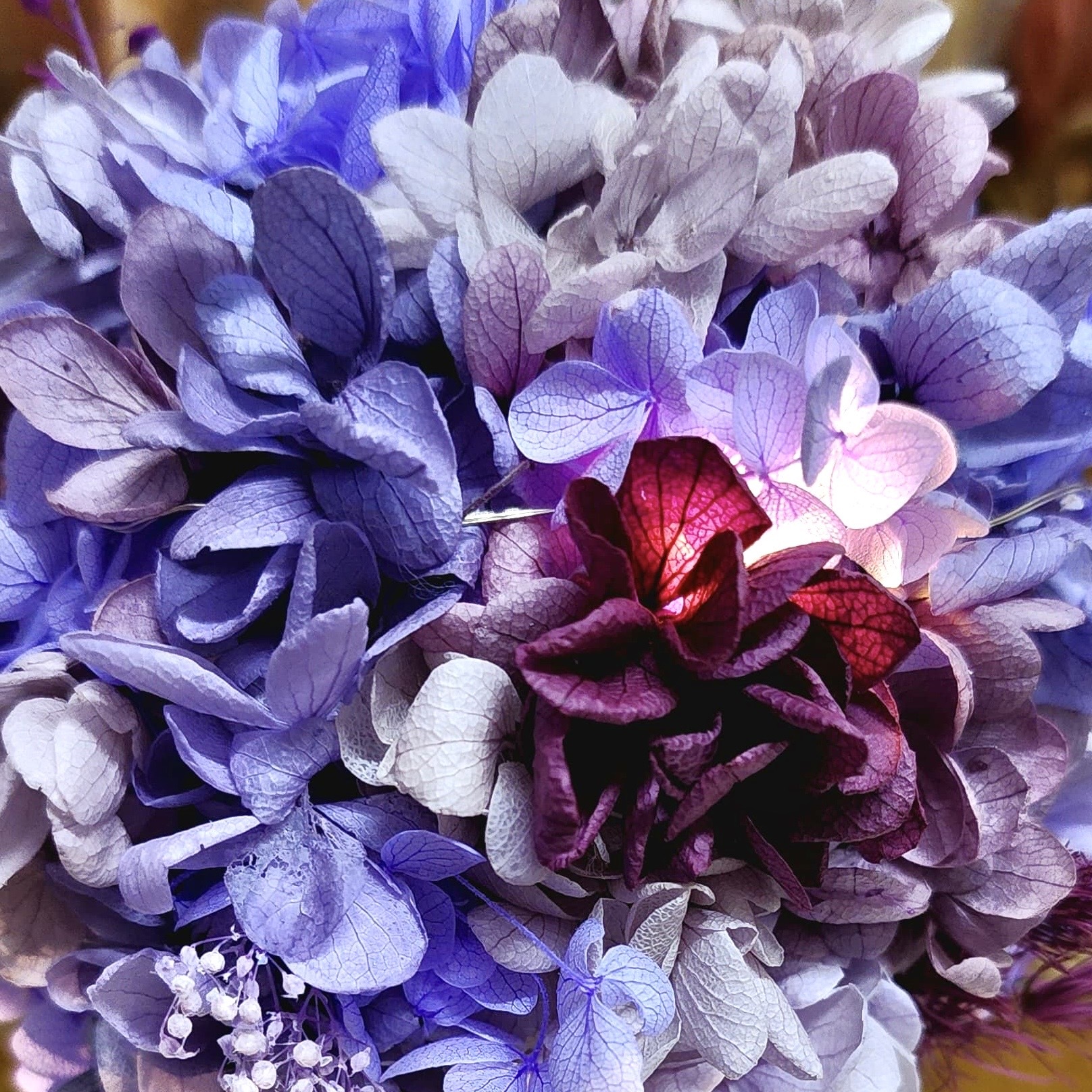 情人節花球樹 (VA02)