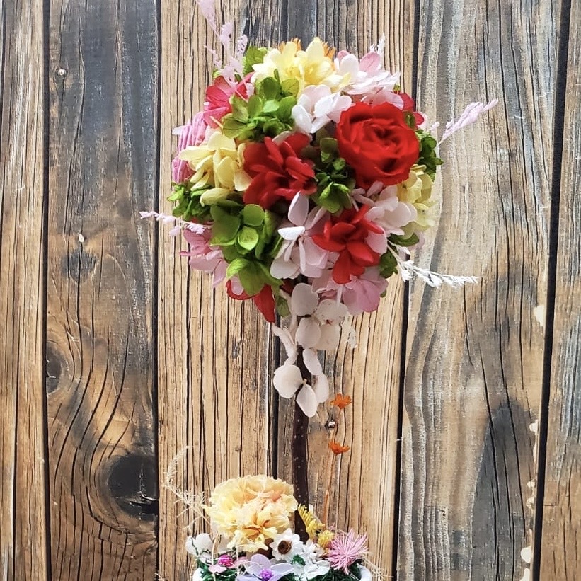 母親節花球樹 (MA03)