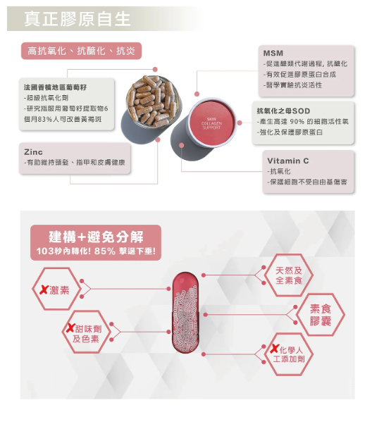 「限時79折 」 ANP | 激活膠原回彈療程 Skin Collagen Support - 三盒一個療程