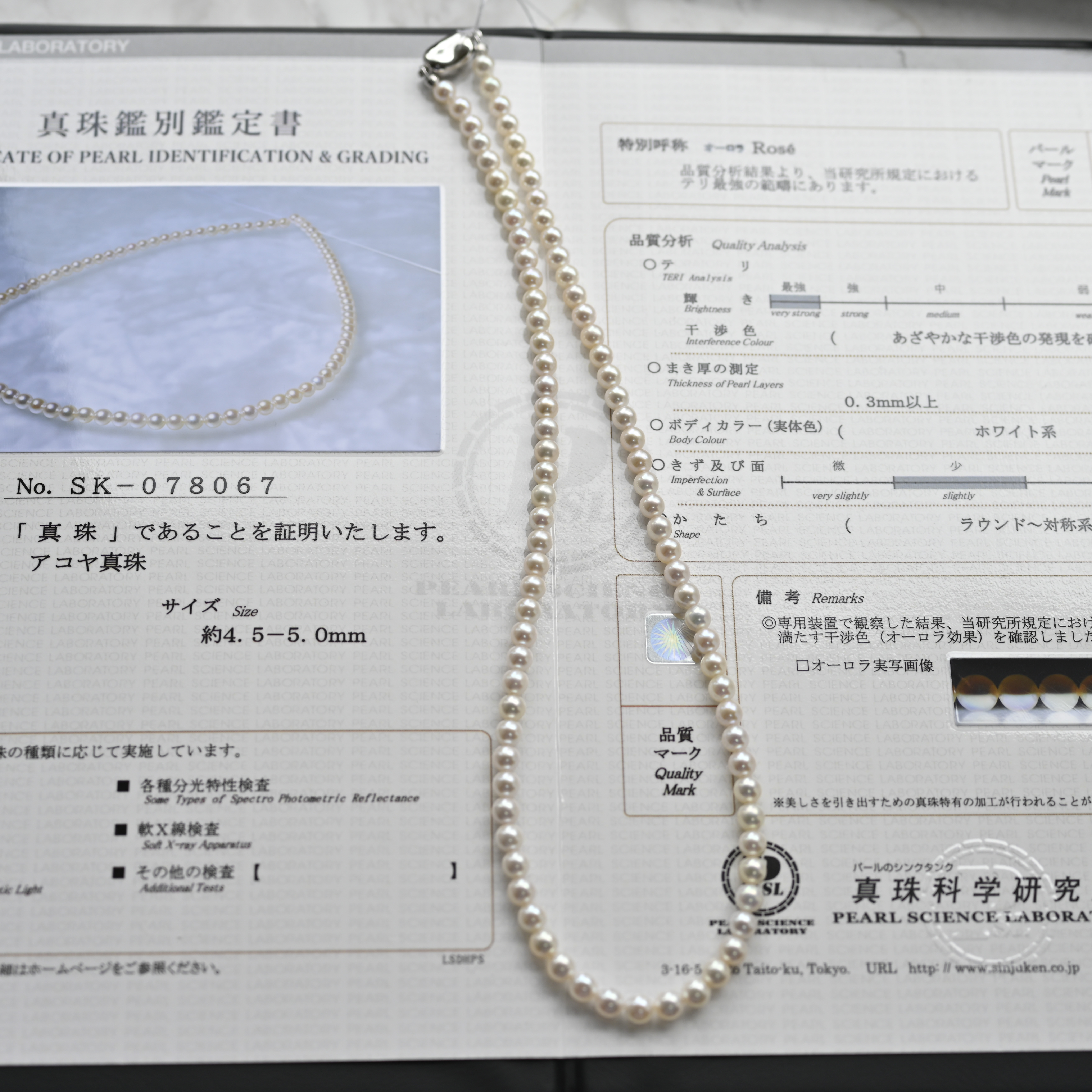 真科研證書 Akoya Rose 4-4.5mm Necklace Chain