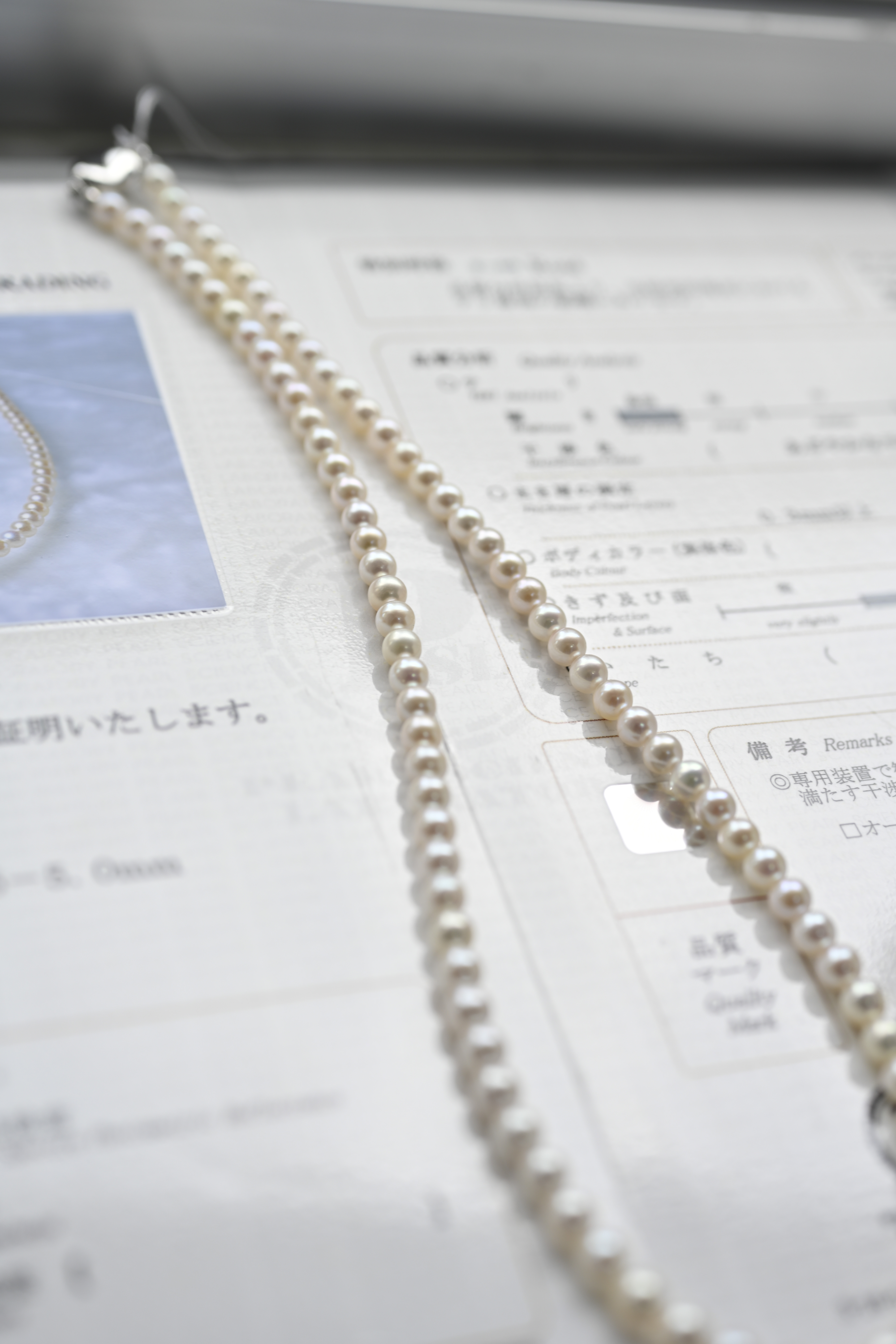 真科研證書 Akoya Rose 4-4.5mm Necklace Chain