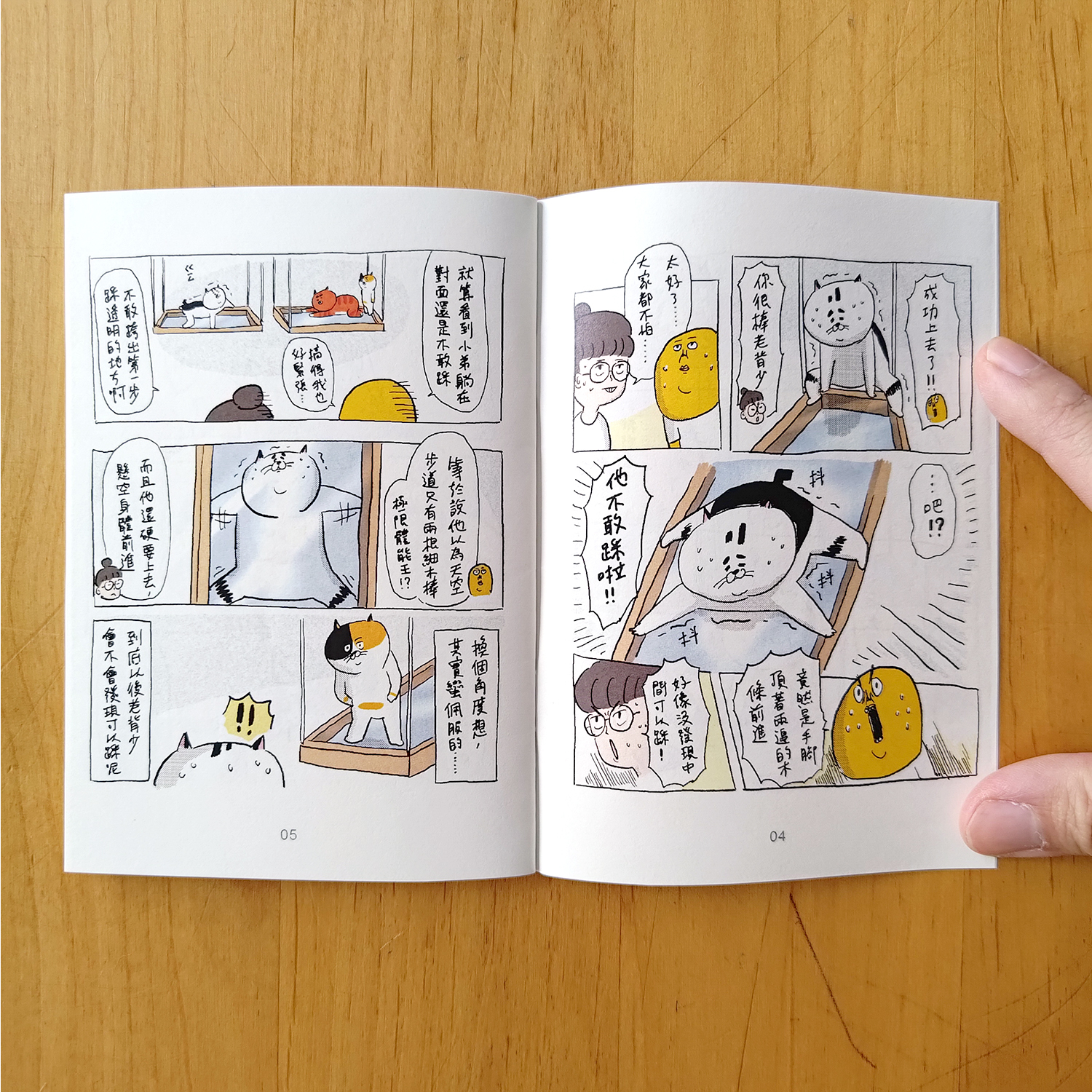 【ehcat貓室友】老背少 天空步道大挑戰 ZINE