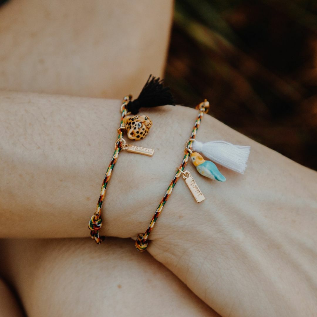 NACH 藍鸚鵡多彩幸運繩手環