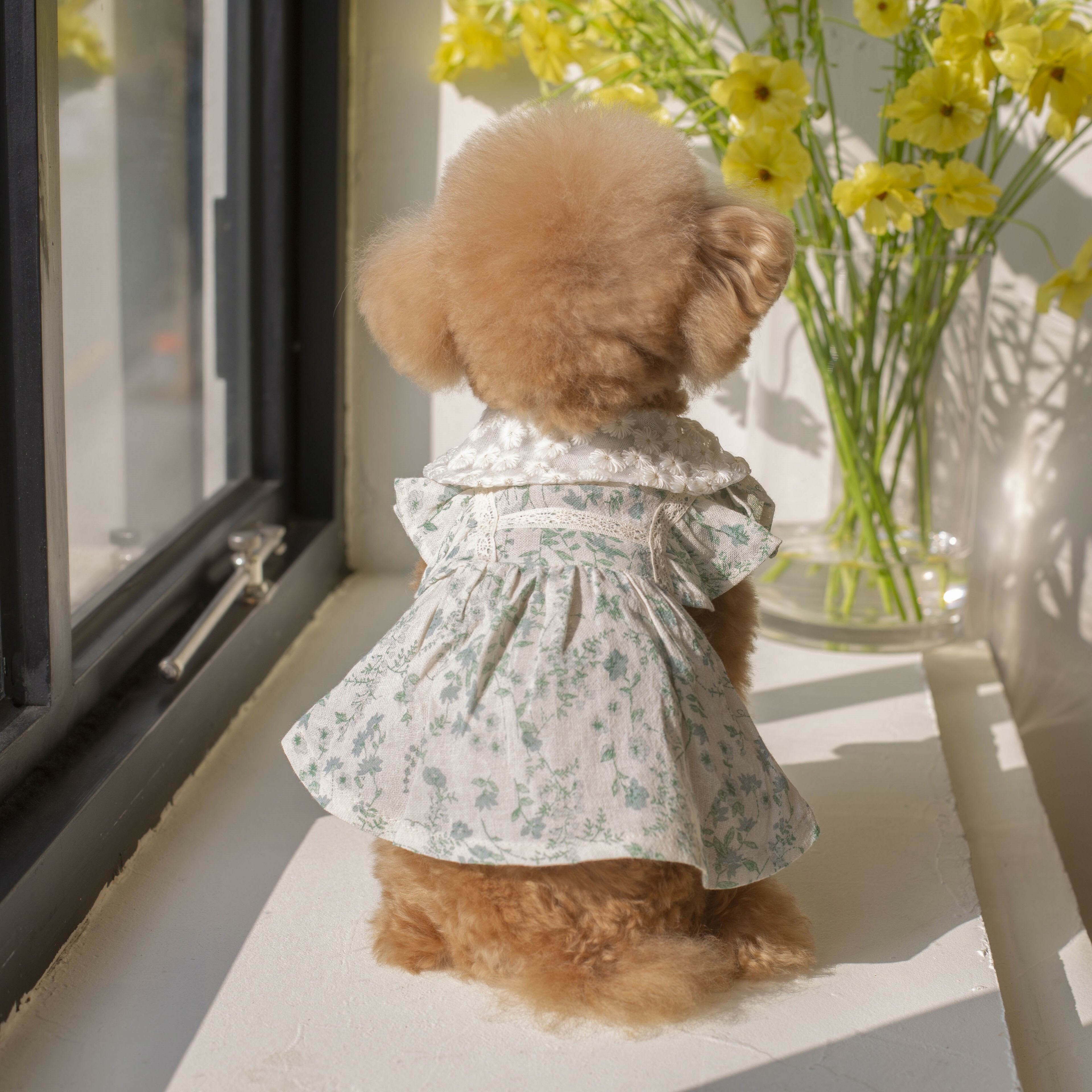 OPAAAP 夏日綠葉涼感洋裝