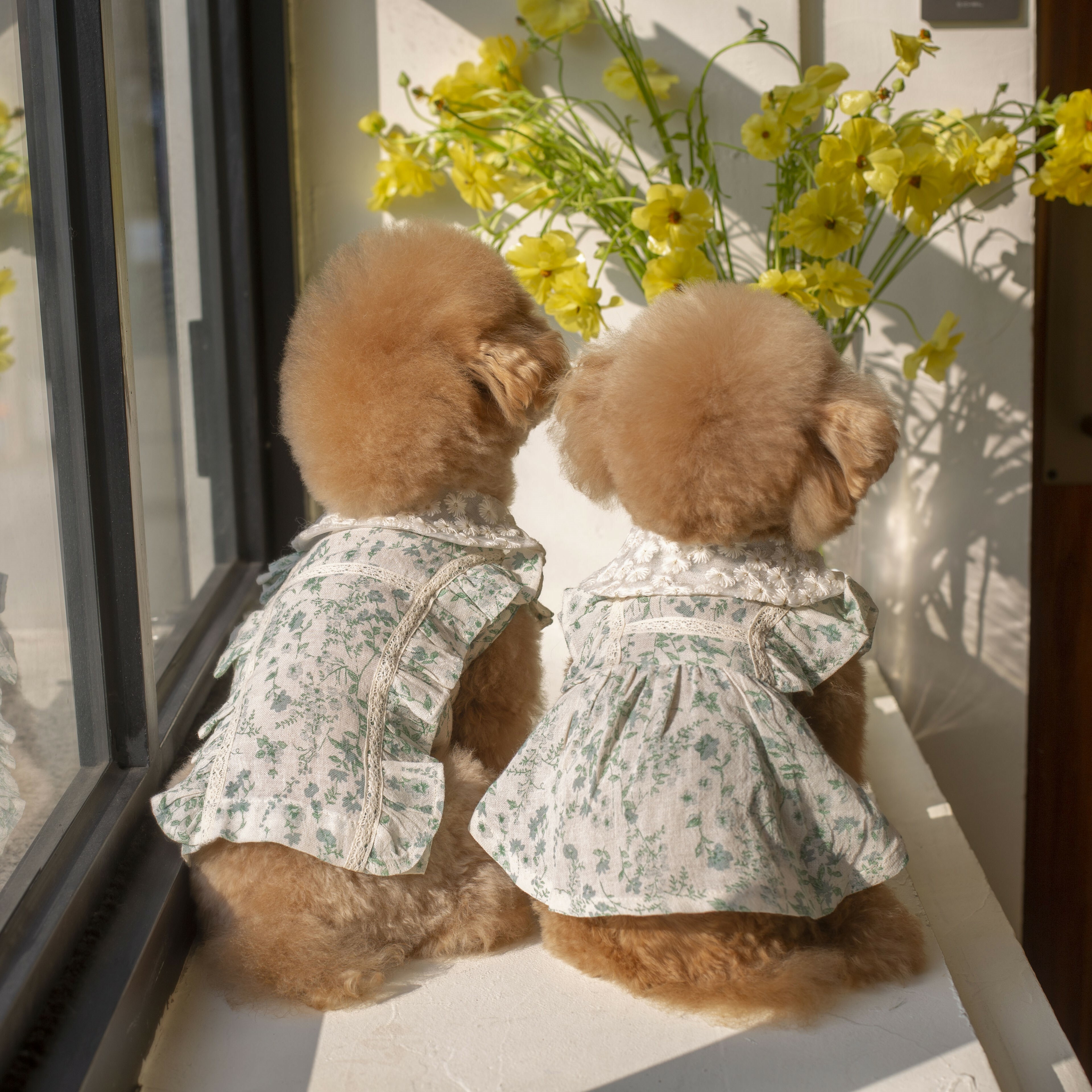 OPAAAP 夏日綠葉涼感洋裝