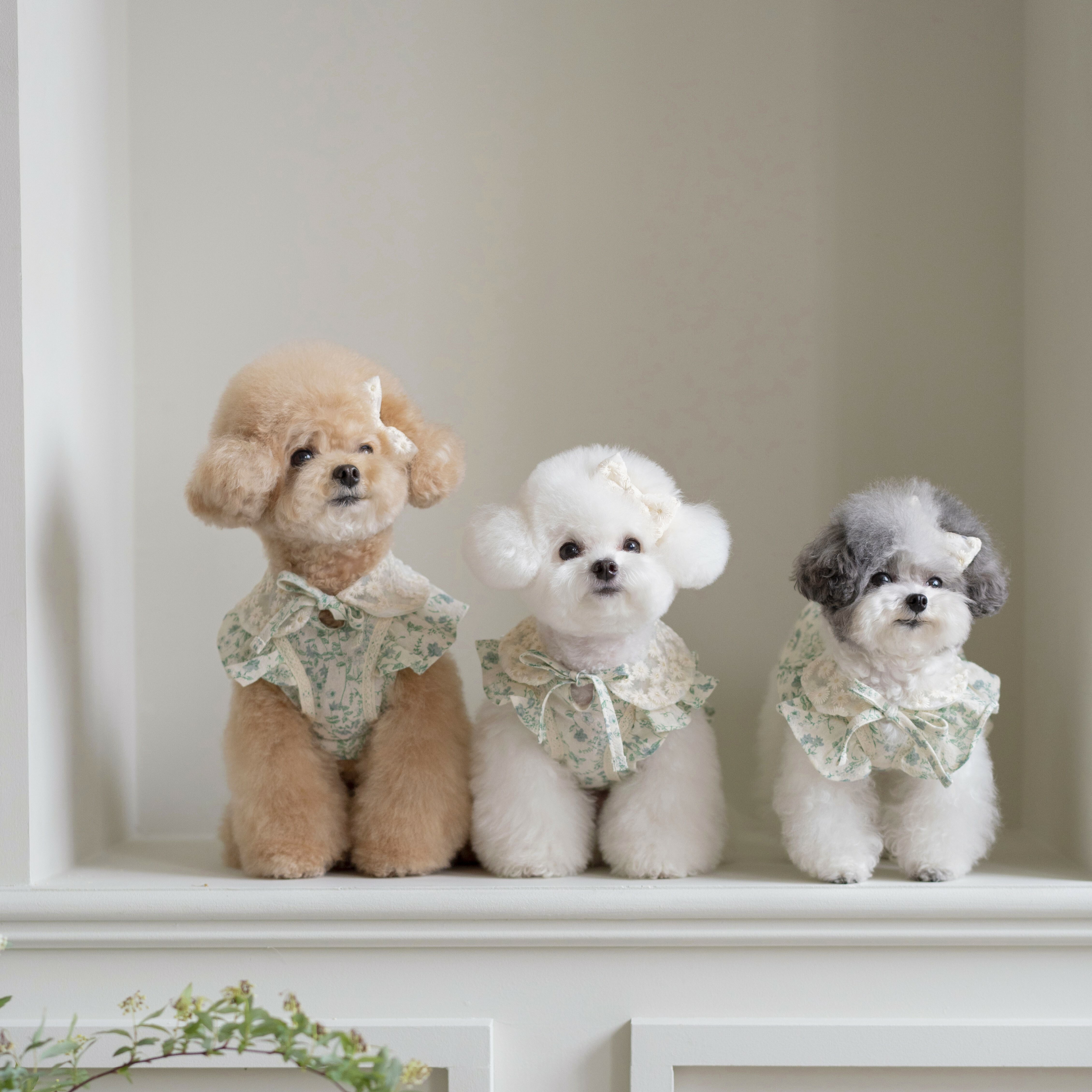 OPAAAP 夏日綠葉髮飾