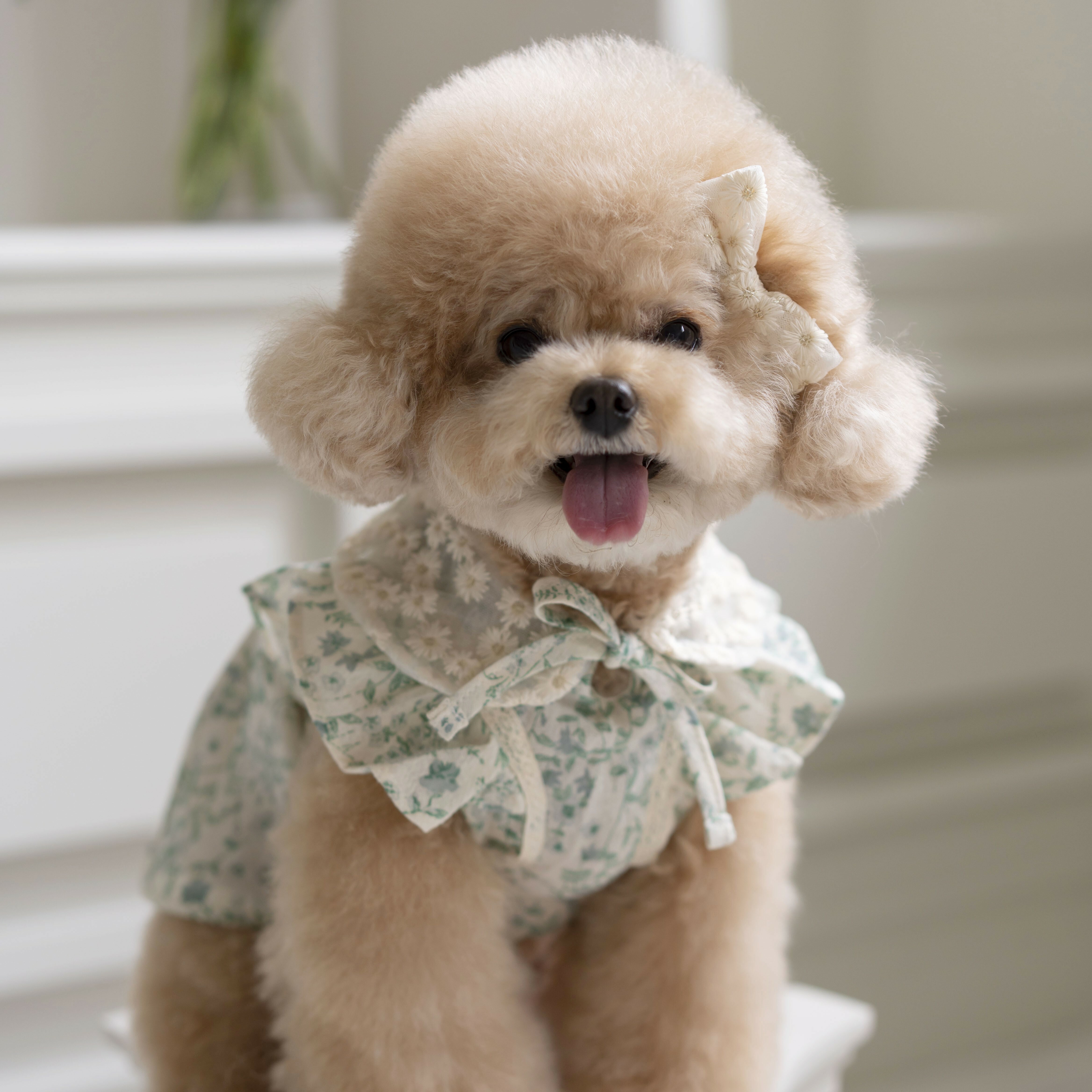 OPAAAP 夏日綠葉髮飾