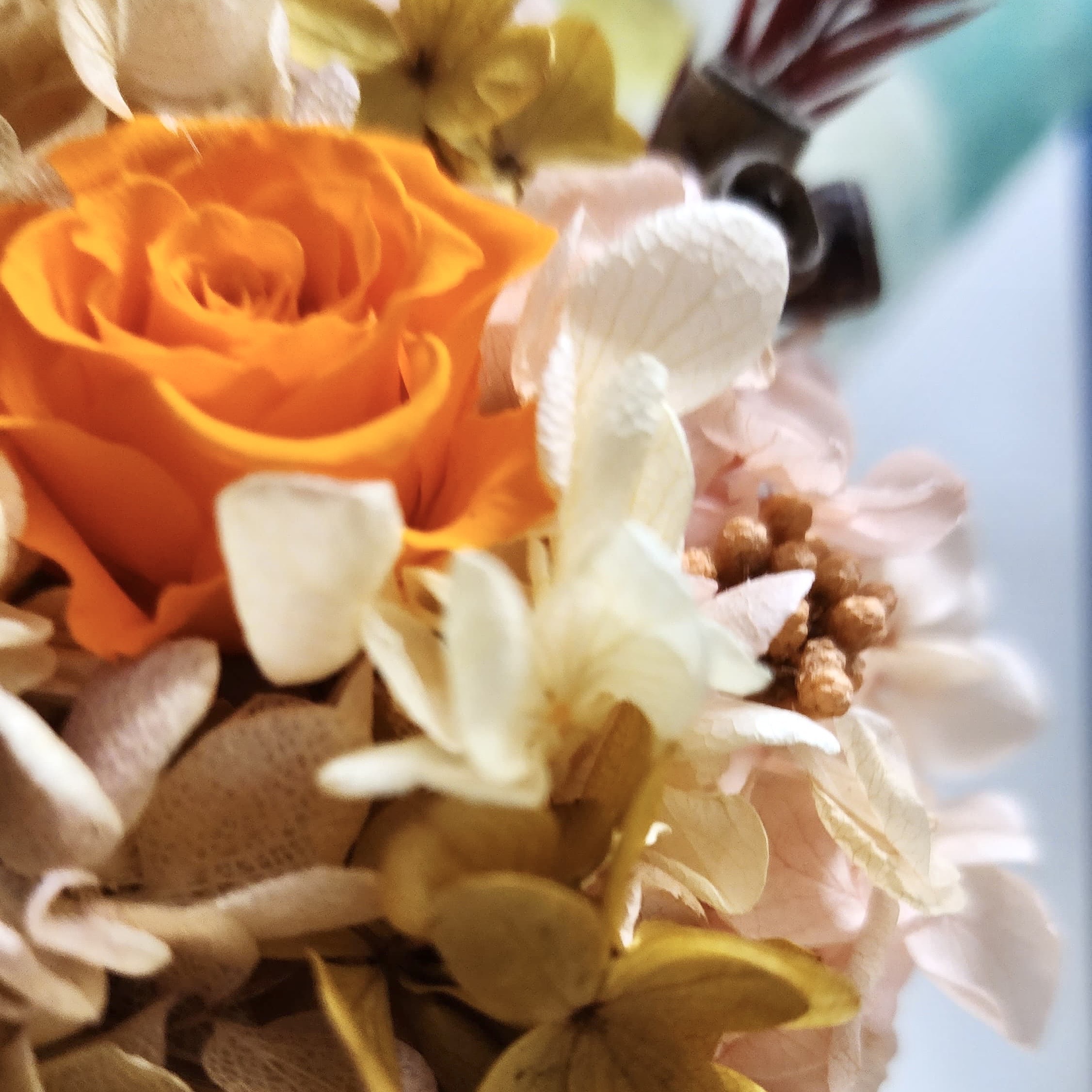 聖誕花球樹 (XA01)