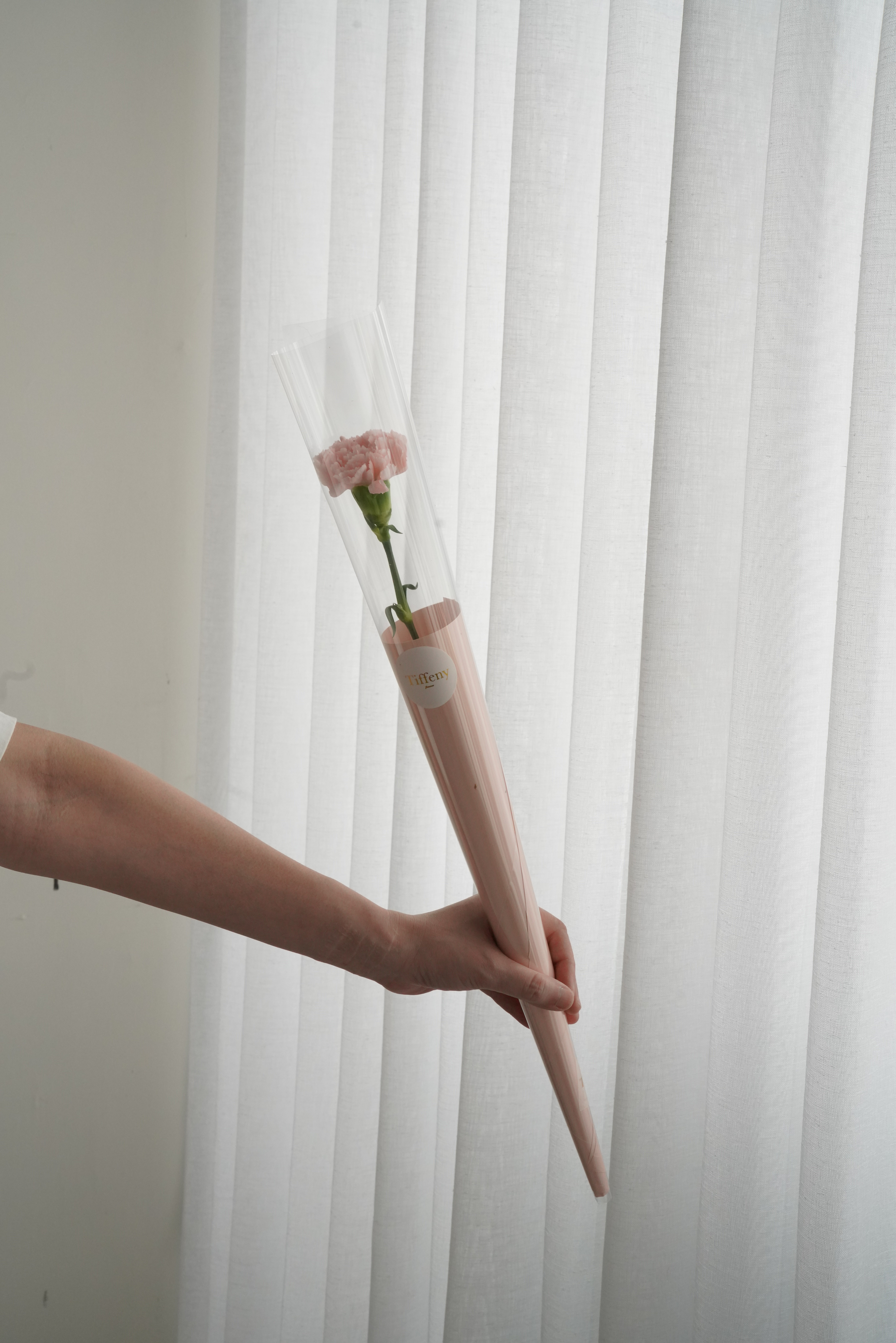 Single Carnation Rolled Flower