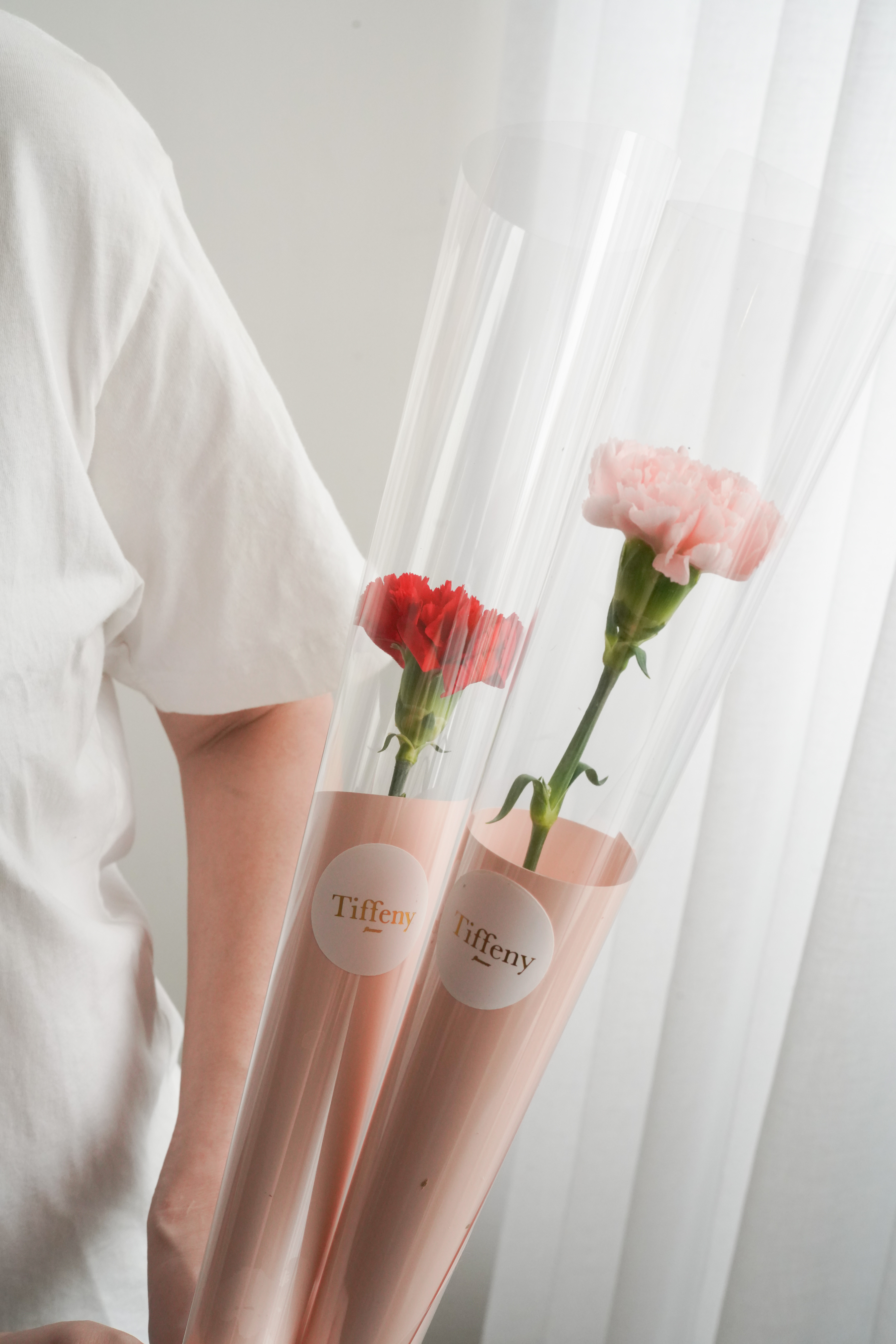 Single Carnation Rolled Flower